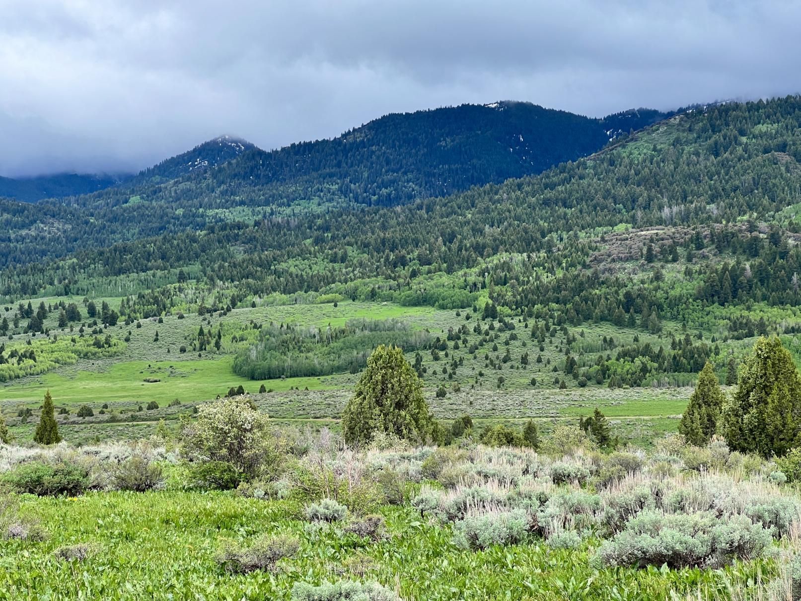 1.2 acres in Bancroft, ID, 83217 LandWatch