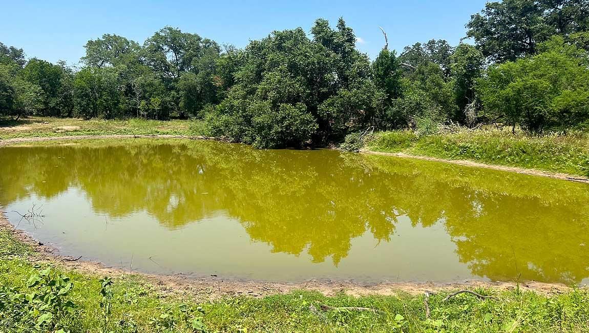 302 acres in Sutherland Springs, TX, 78161 LandWatch