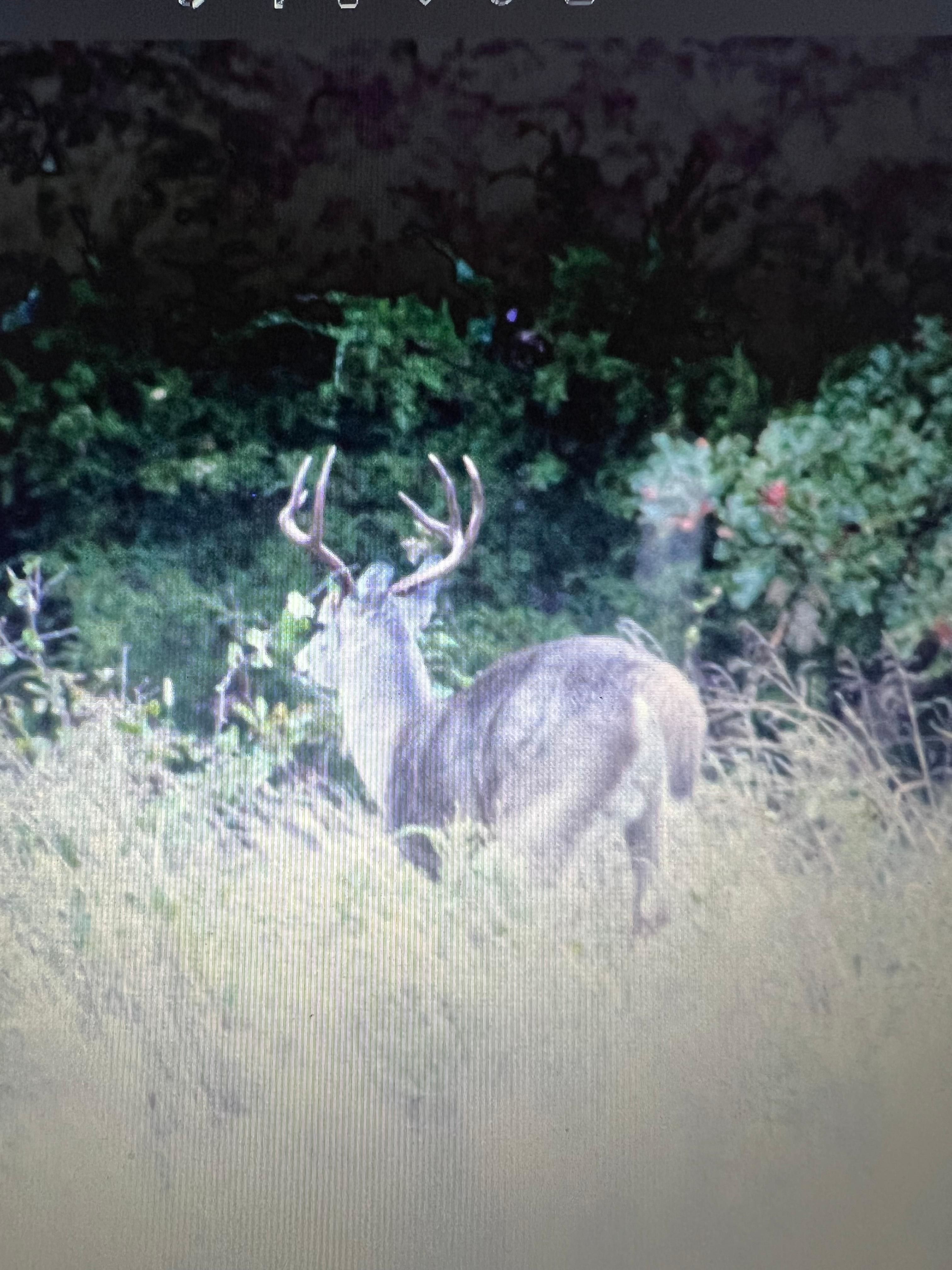 1,431 acres in Quinton, OK, 74561 LandWatch