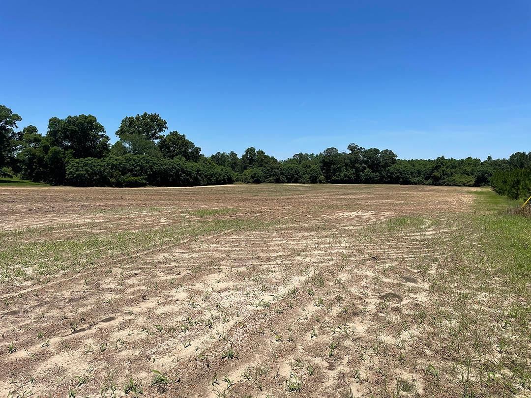 60 acres in Irwinville, GA, 31774 LandWatch