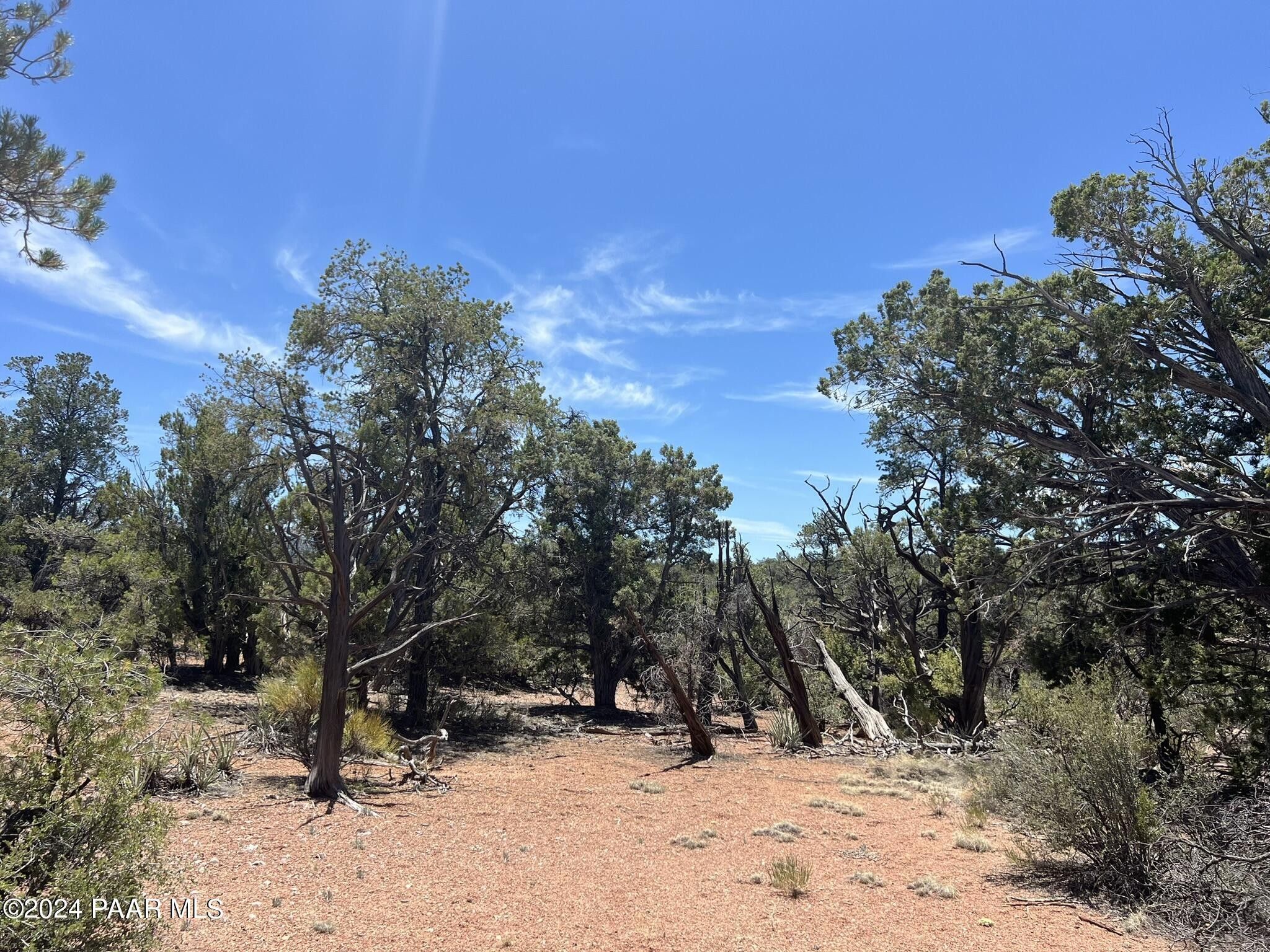 Seligman, Yavapai County, AZ Undeveloped Land for sale Property ID