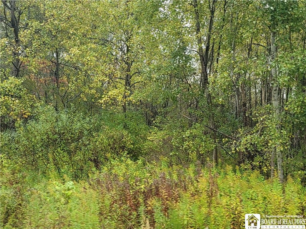 4316 Potter Road, Chautauqua, NY 14757 MLS R1505677 LandWatch