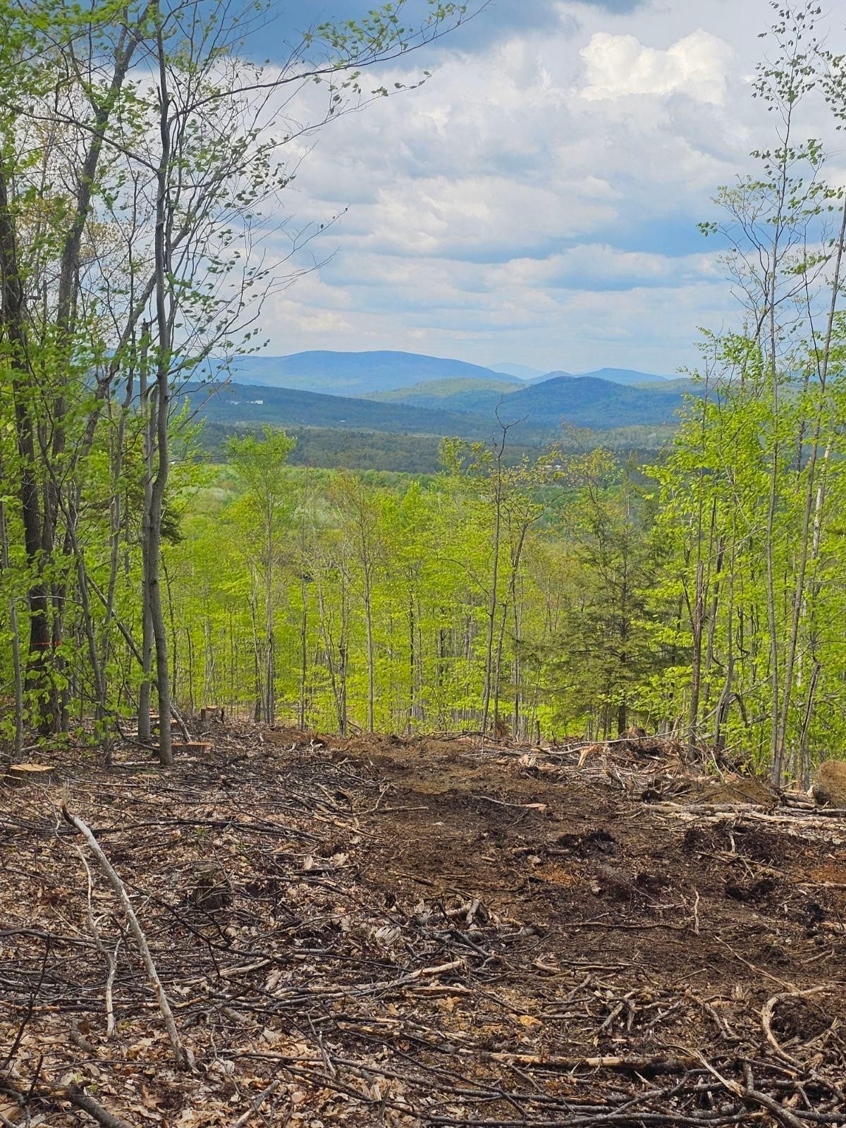Streaked Mountain Road, Buckfield, ME 04220 MLS 1590708 LandWatch