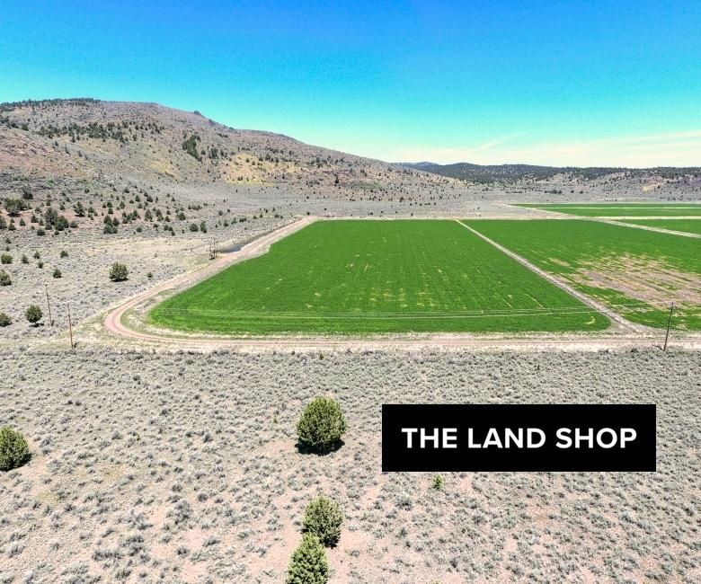 19.9 acres in Madeline, CA, 96119 MLS 031150002000 LandWatch