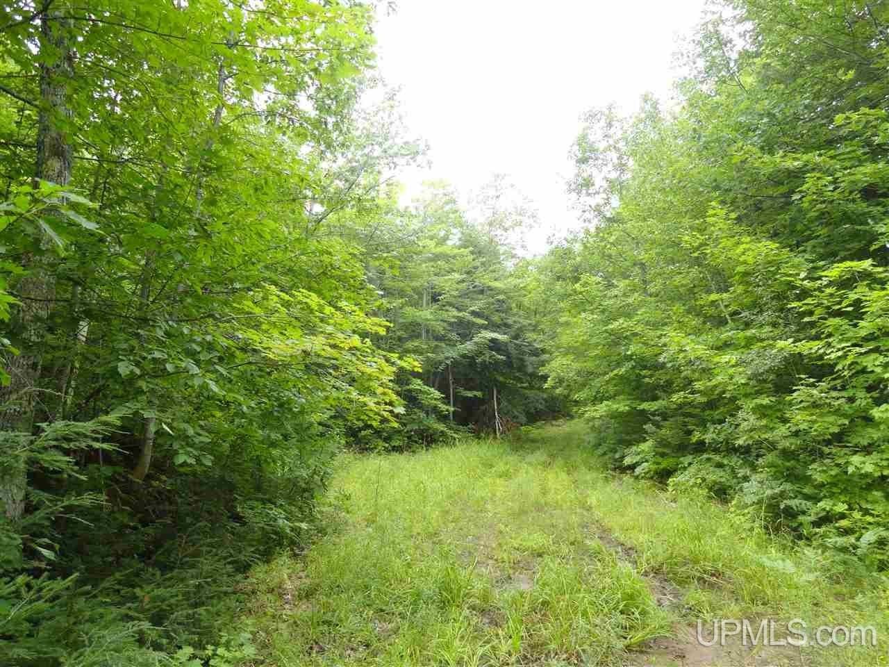 320 Acre Off Co Rd 510, Marquette, MI 49855 MLS 50141224 LandWatch