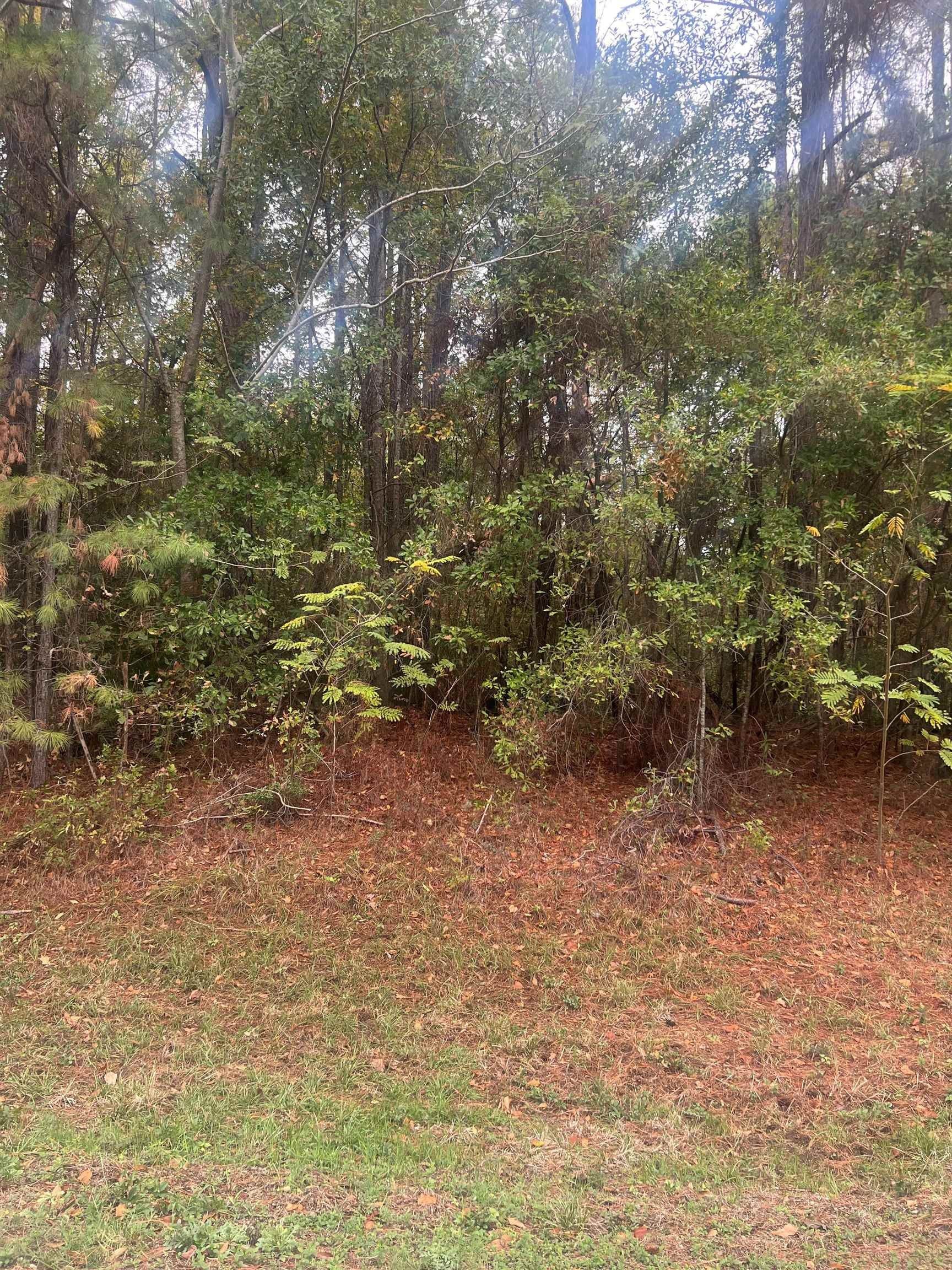 FM 1415 S Shankleville, Burkeville, TX 75932 MLS 210543 LandWatch