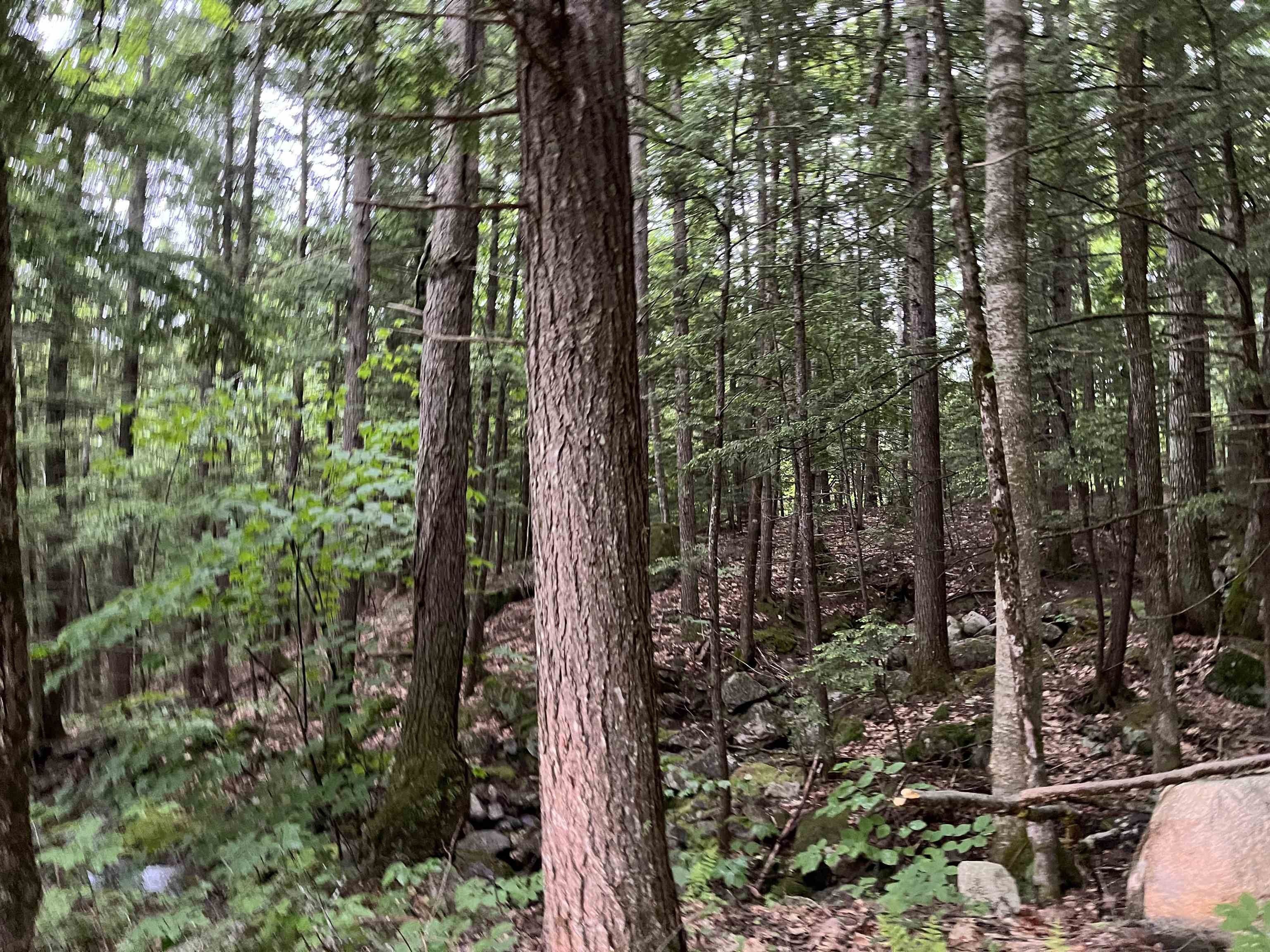 169 Newman Drew Road, Ossipee, NH 03890 MLS 5000093 LandWatch