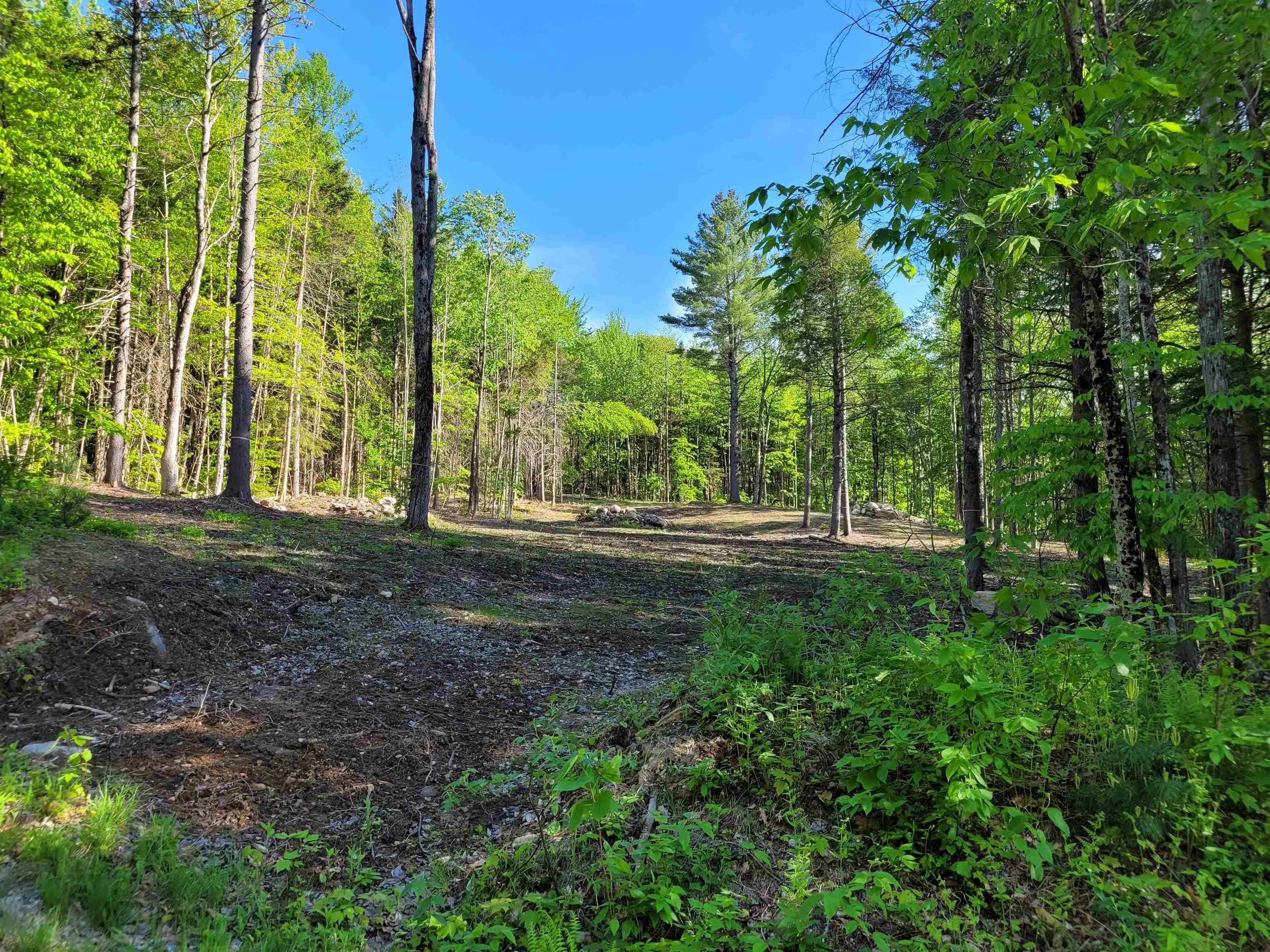 Lot 5 Victoria's Mountain Way Road, Groton, NH 03241 MLS 5000221 LandWatch