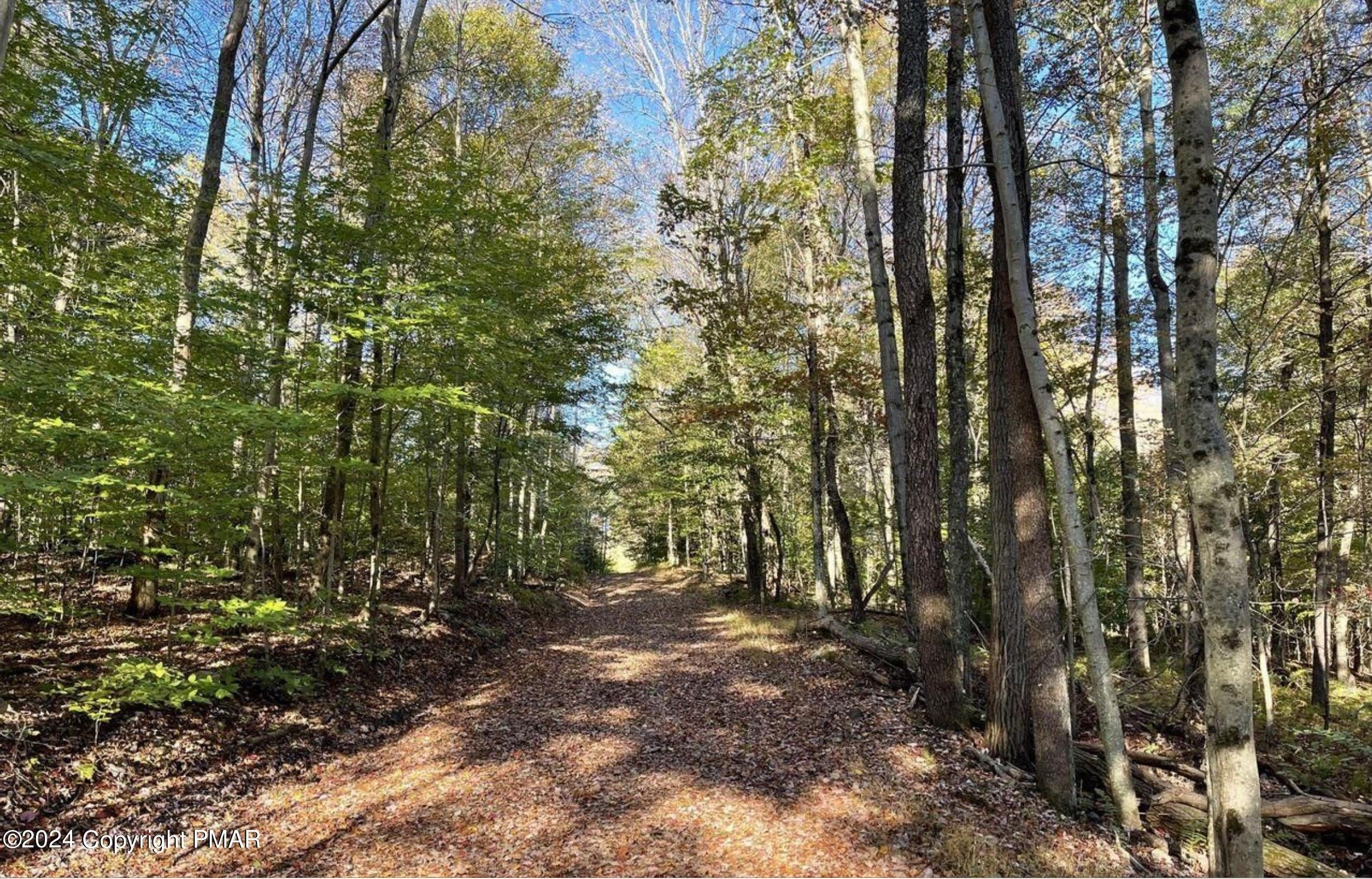 1 Meir Road, Weatherly, PA 18255 MLS PM116033 LandWatch