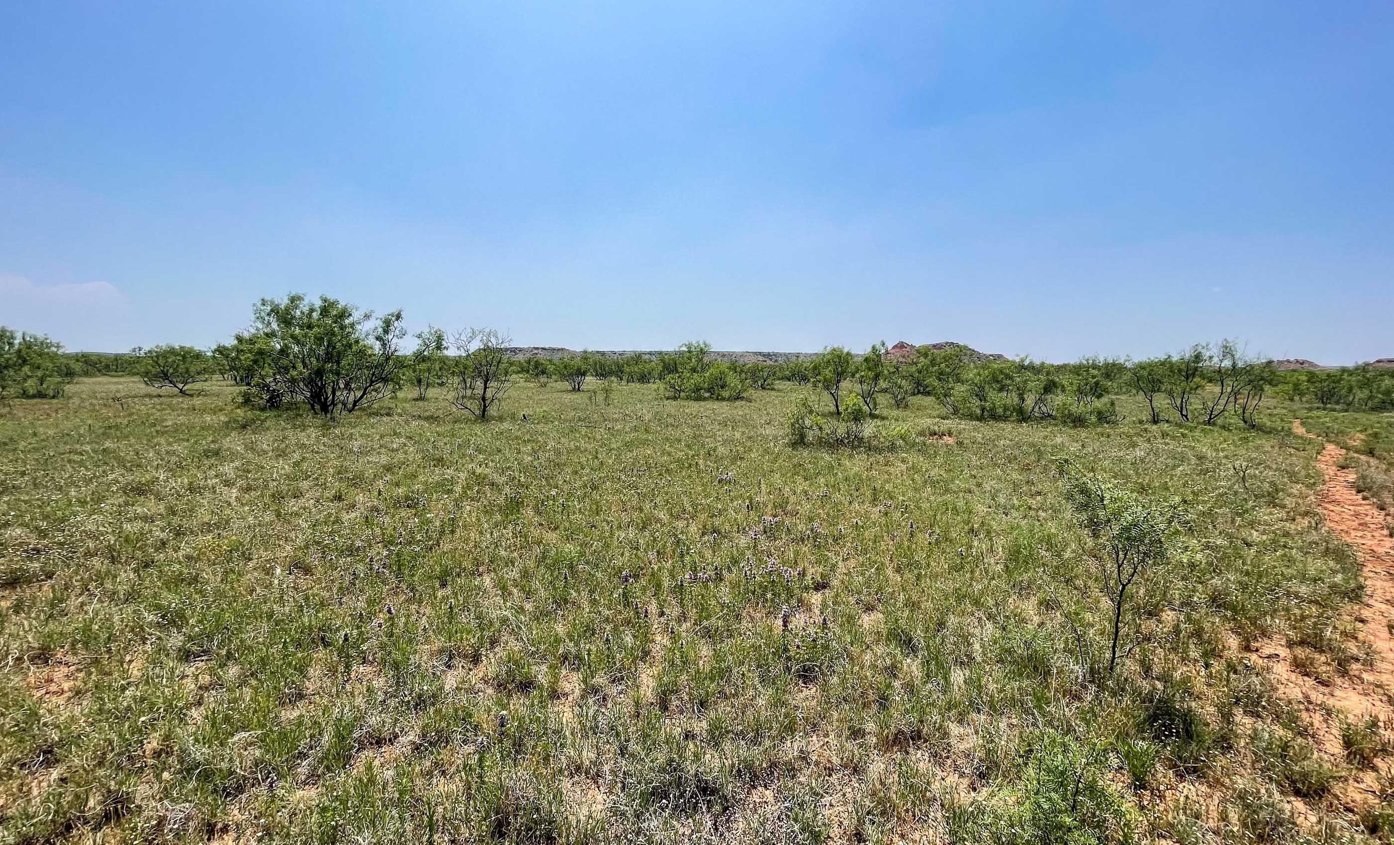 2,745.4 acres in Gail, TX, 79738 LandWatch