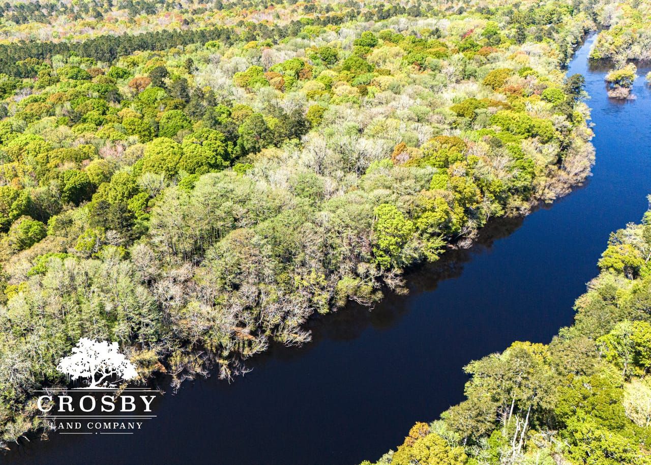 145 acres in Ridgeville, SC, 29472 LandWatch