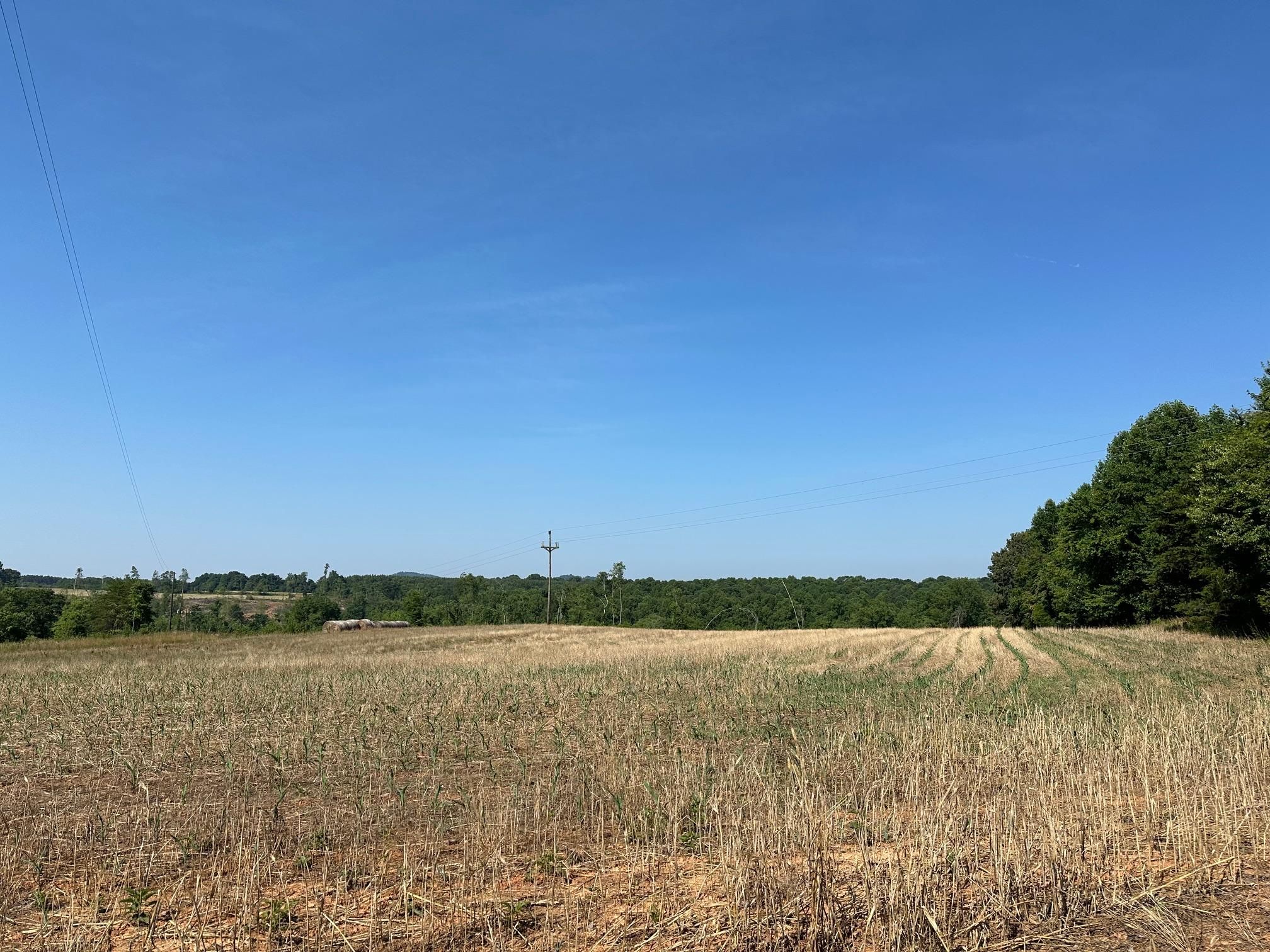 3700 North Carolina 67, Boonville, NC 27011 MLS 1145965 LandWatch