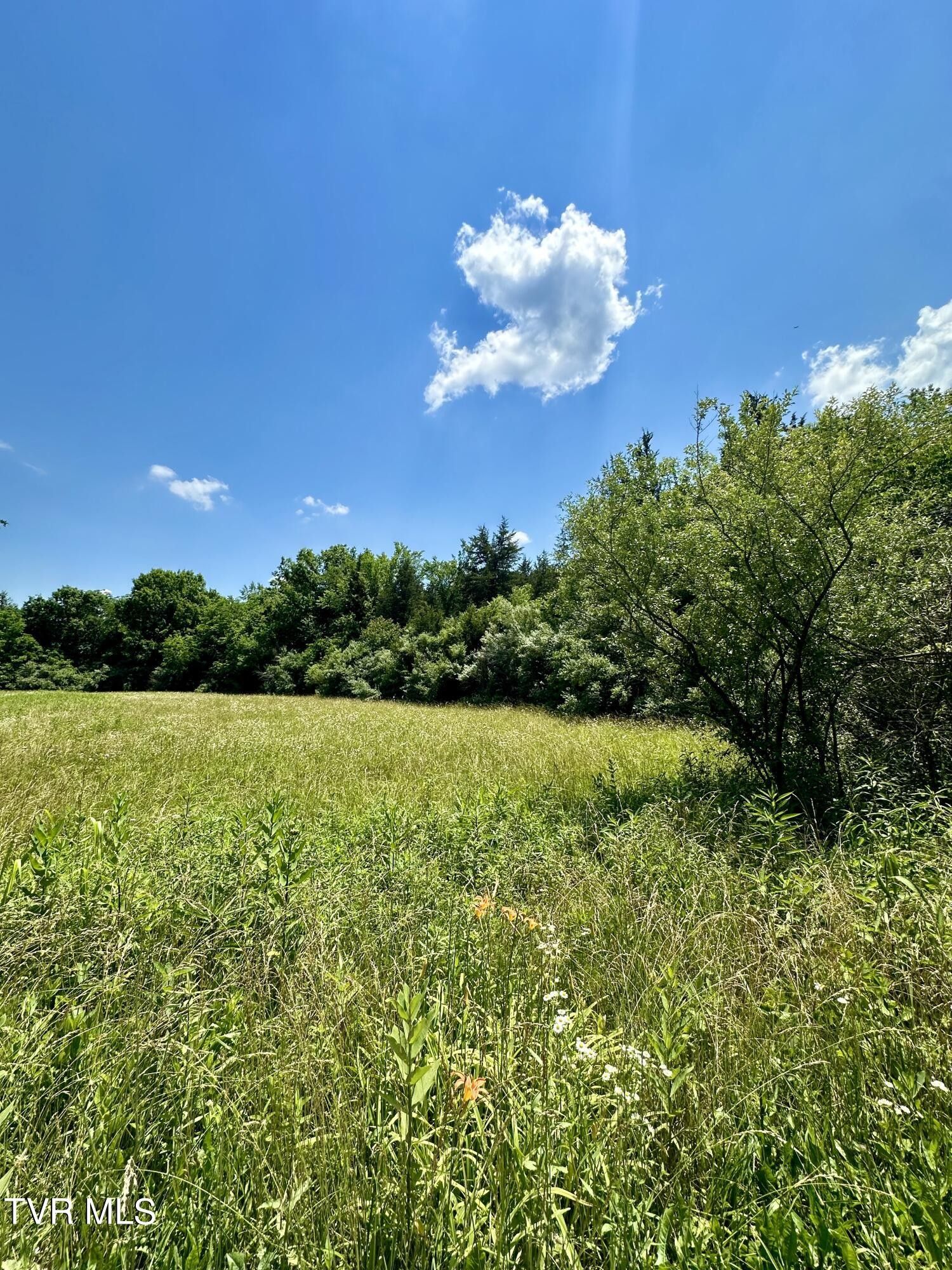 Tbd Mill Creek Road, Rye Cove, VA 24251 MLS 9967261 LandWatch