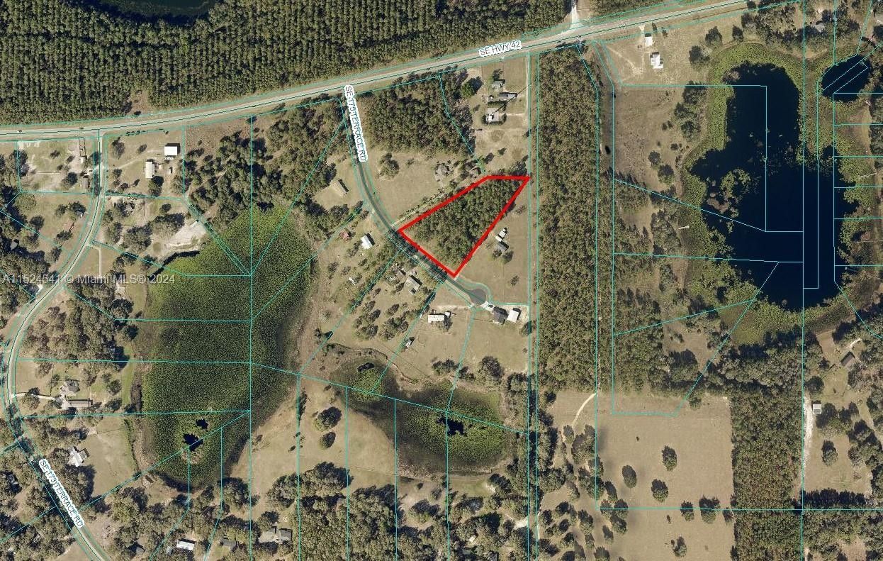 Se 175 Ter Rd WEIRSDALE, FL 32195, Ocala, FL 32195 MLS A11524541