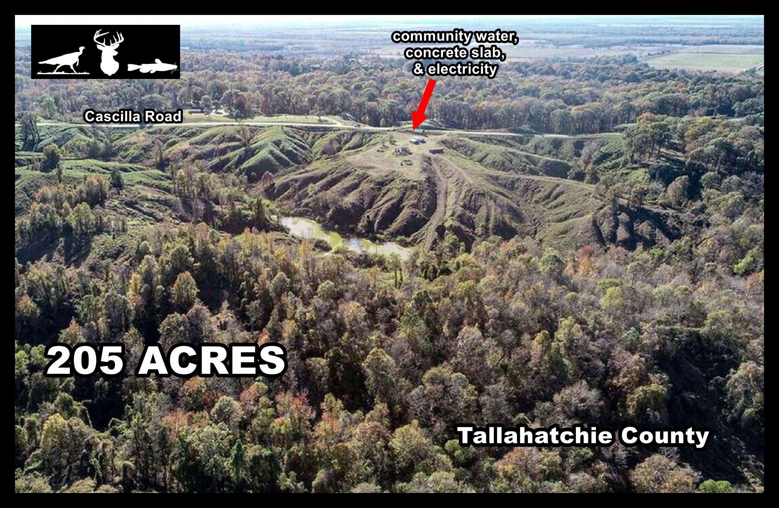 173 Cascilla Road, Cascilla, MS 38920 LandWatch