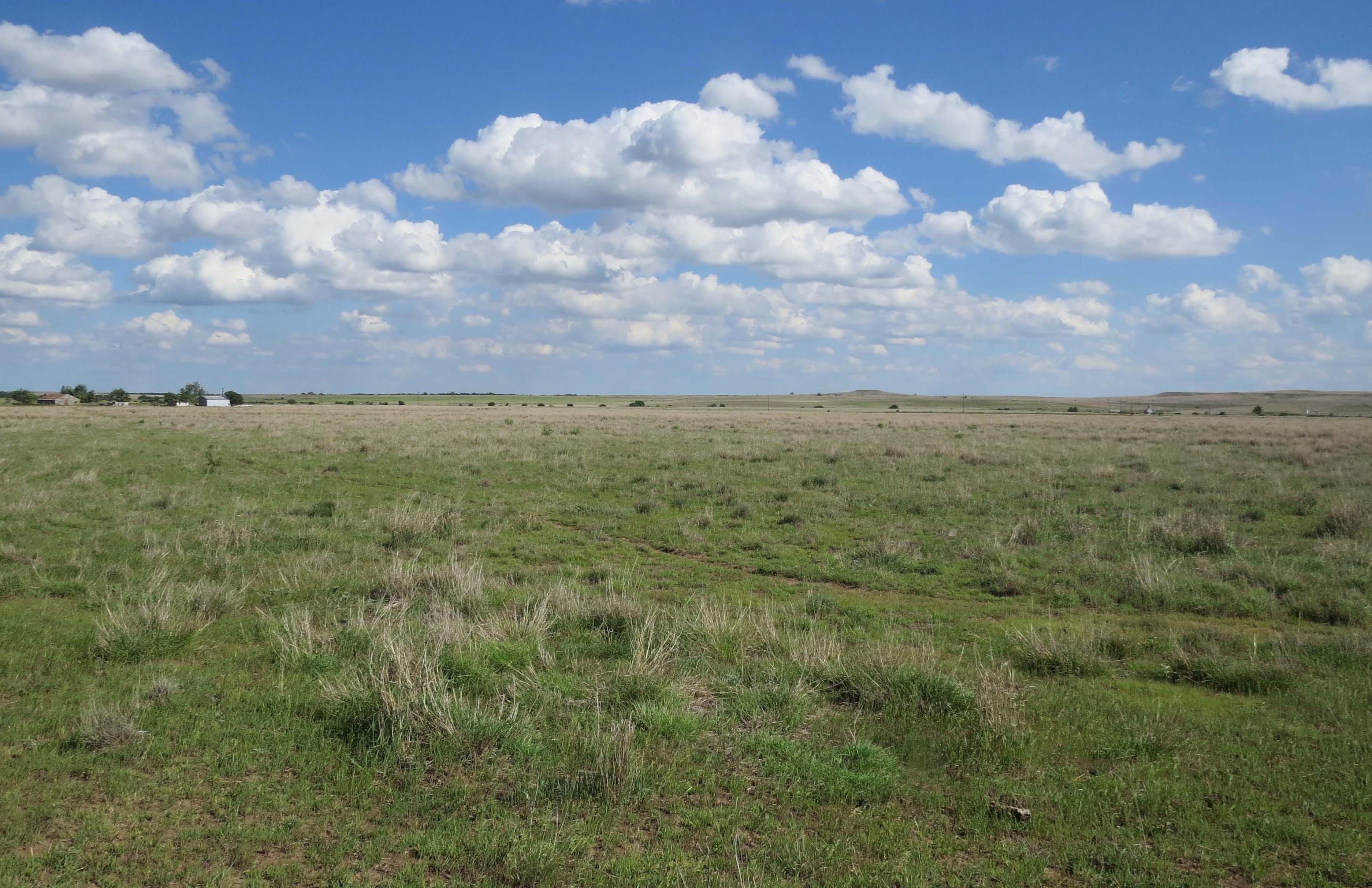 320 acres in Mobeetie, TX, 79061 LandWatch