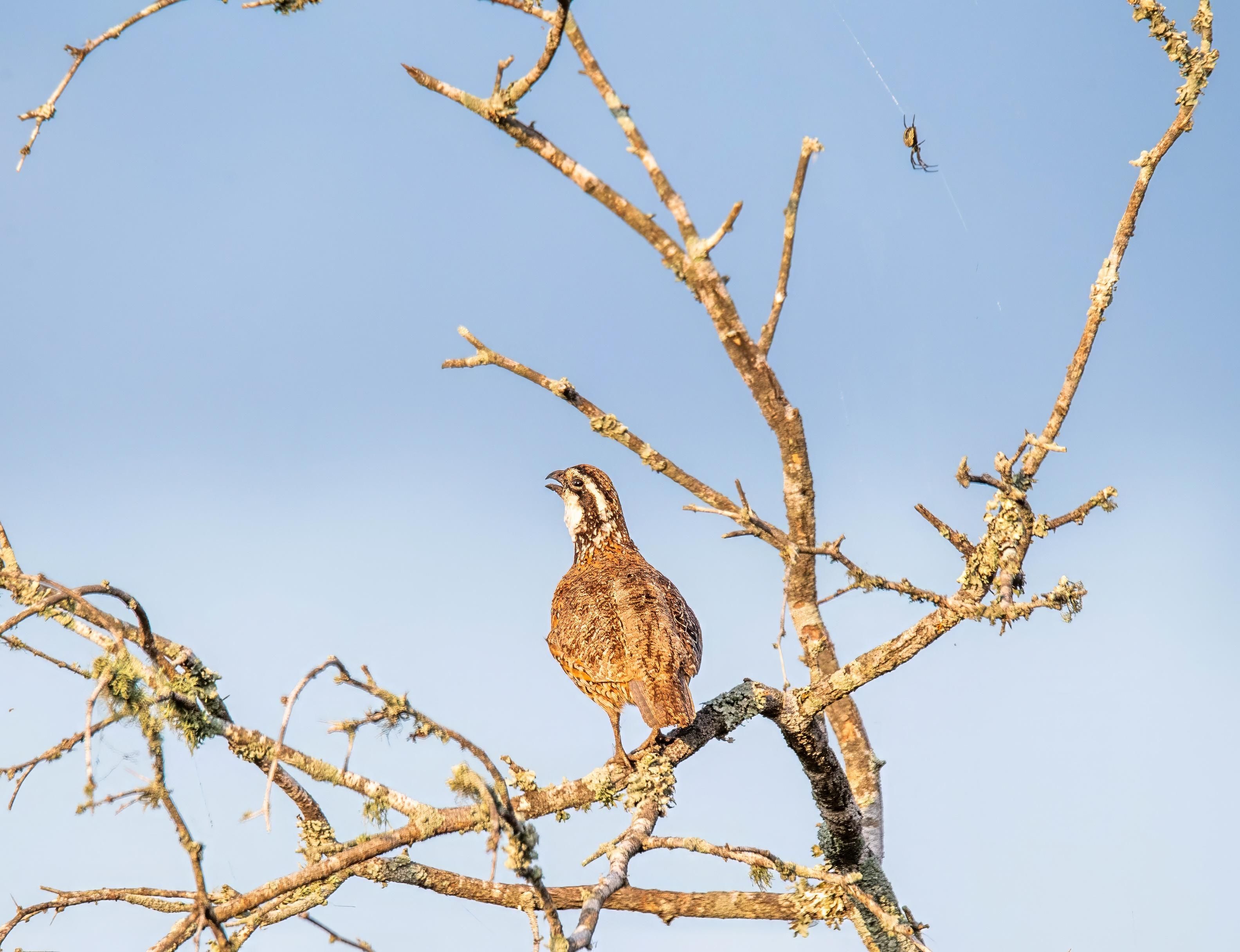 1,775 acres in Premont, TX, 78375 LandWatch