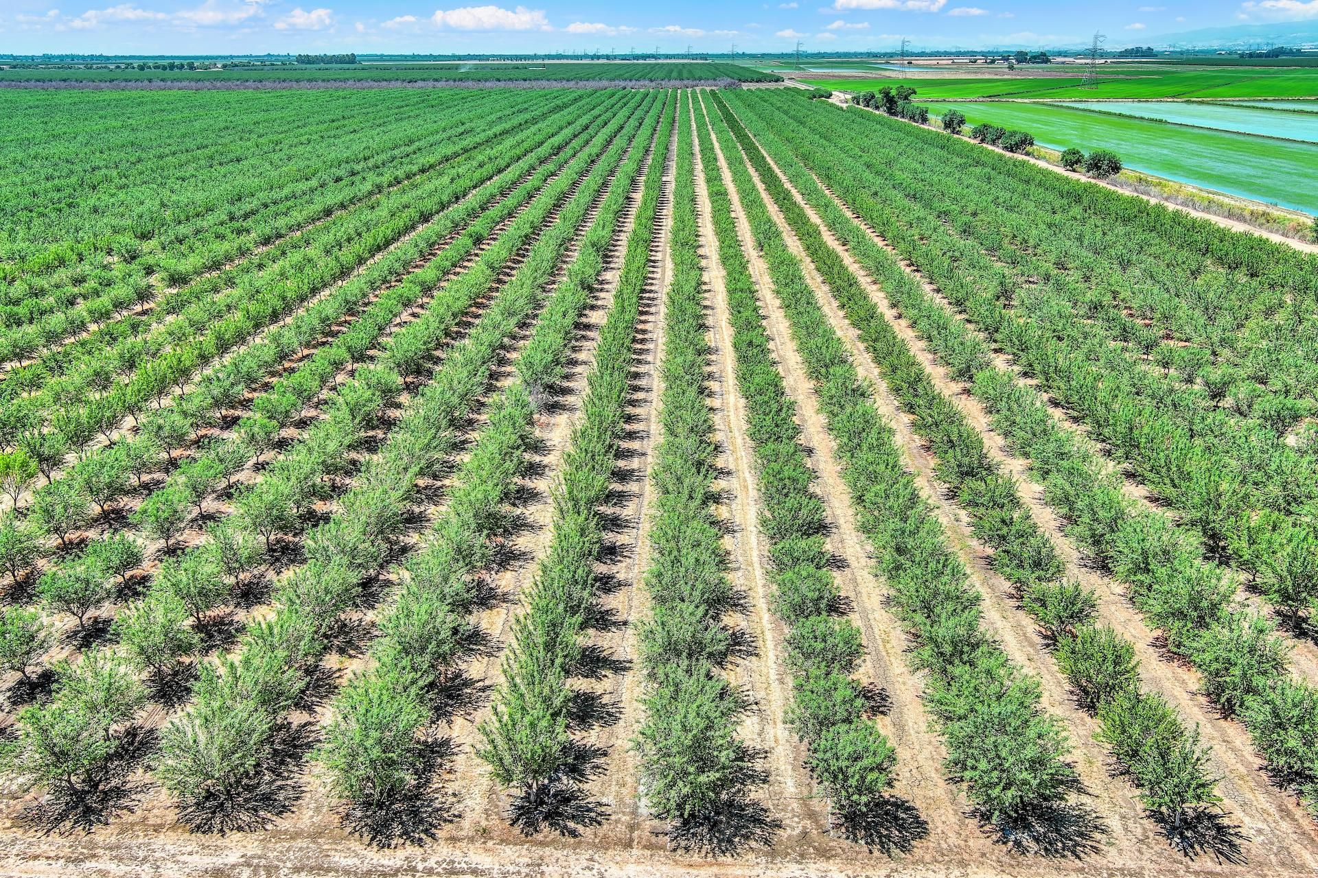 County Road 28, Woodland, CA 95695 | LandWatch