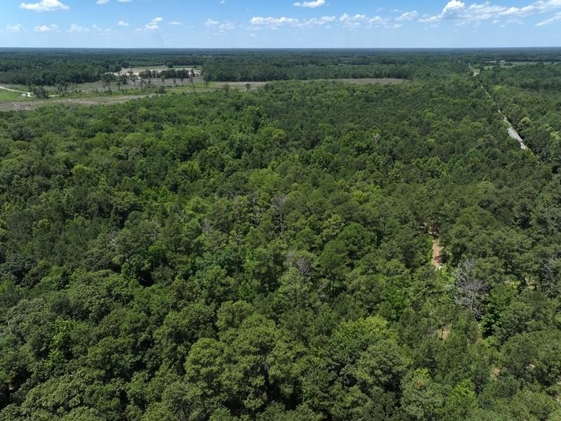 U.S. 501, Maxton, NC 28364 MLS 100451073 LandWatch