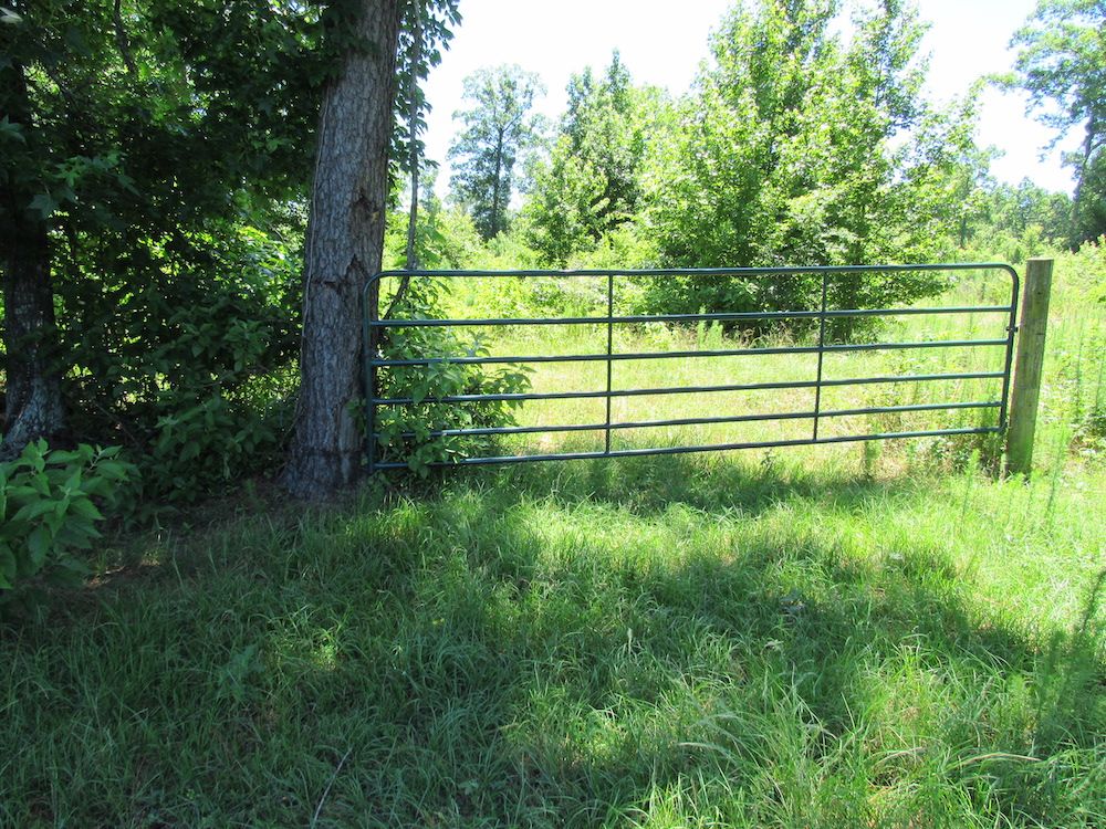 Highway 53, LotWP001, Rosston, AR 71858 LandWatch