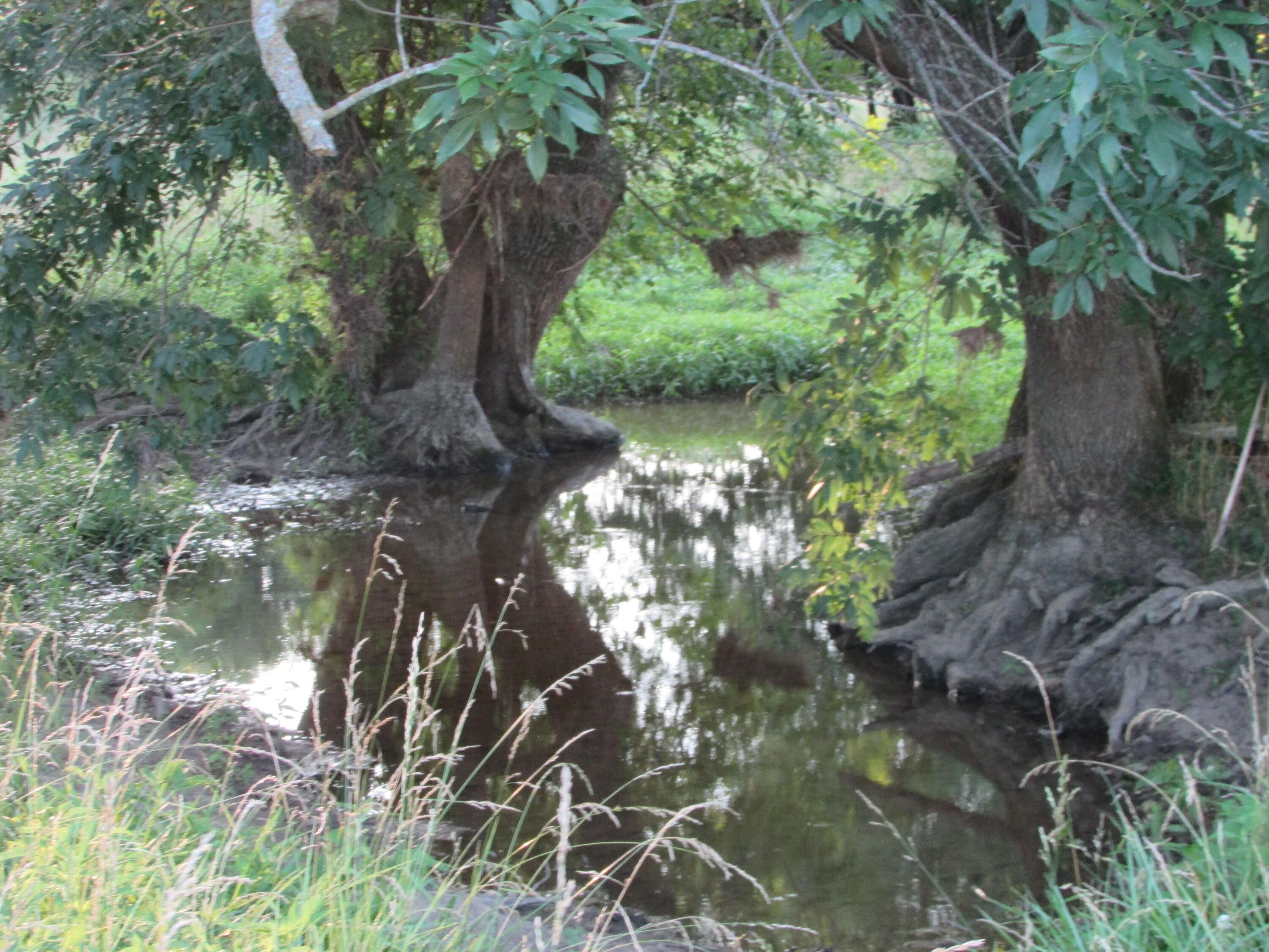 5635 County Road 20, Sarcoxie, MO 64862 MLS 60271158 LandWatch