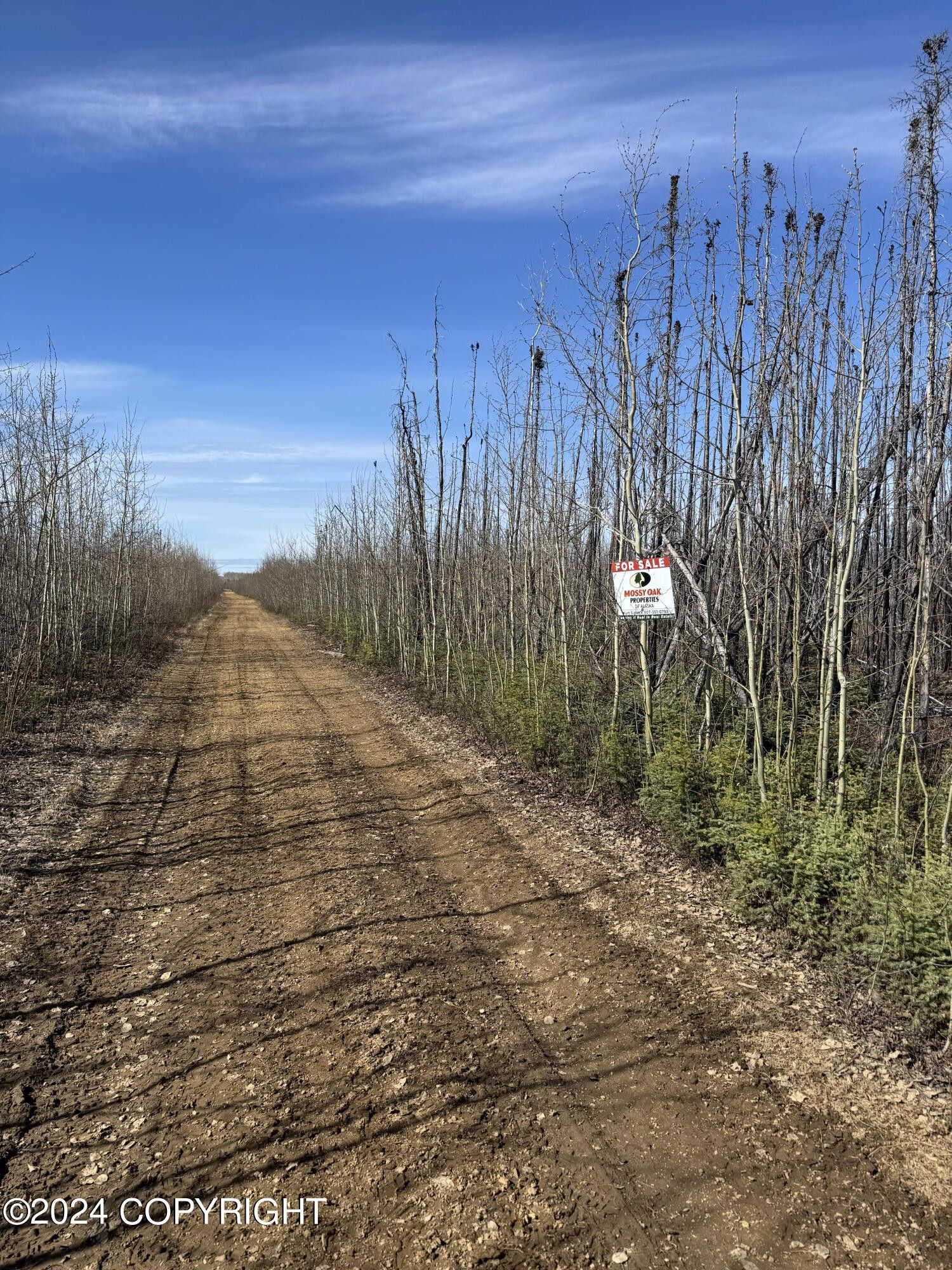 Nhn Kobe Ag Rd, Anderson, AK 99744 MLS 243974 LandWatch