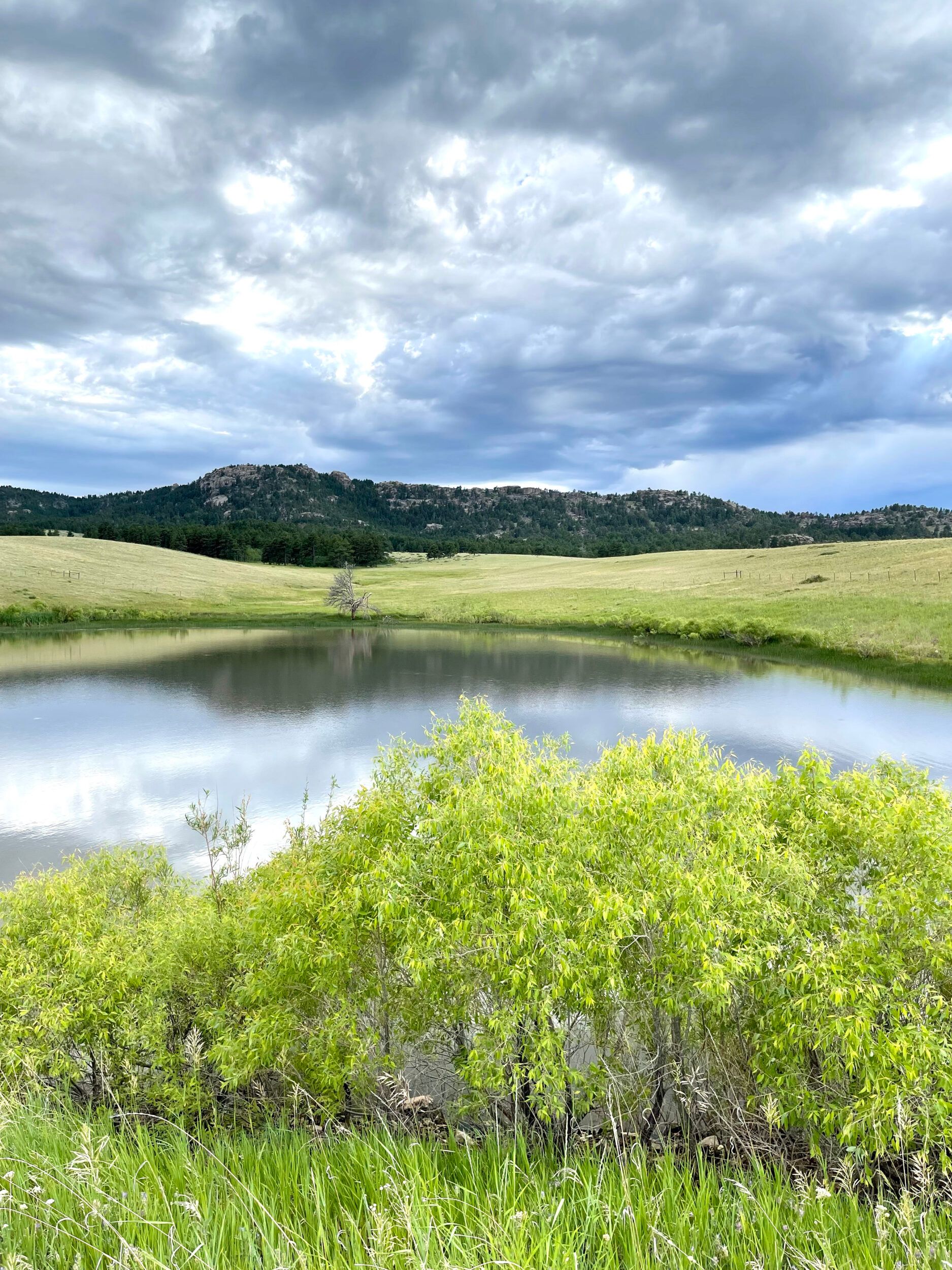 3257 ESTERBROOK RD, Douglas, WY 82633 LandWatch