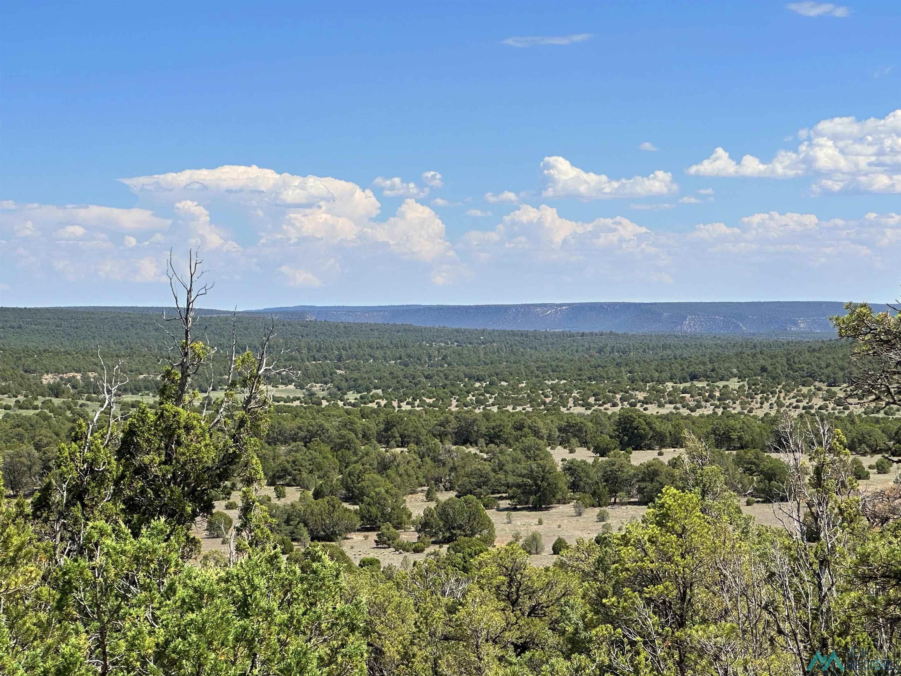 Lot 7 Tierra de Dios, Rowe, NM 87562 MLS 20243613 LandWatch
