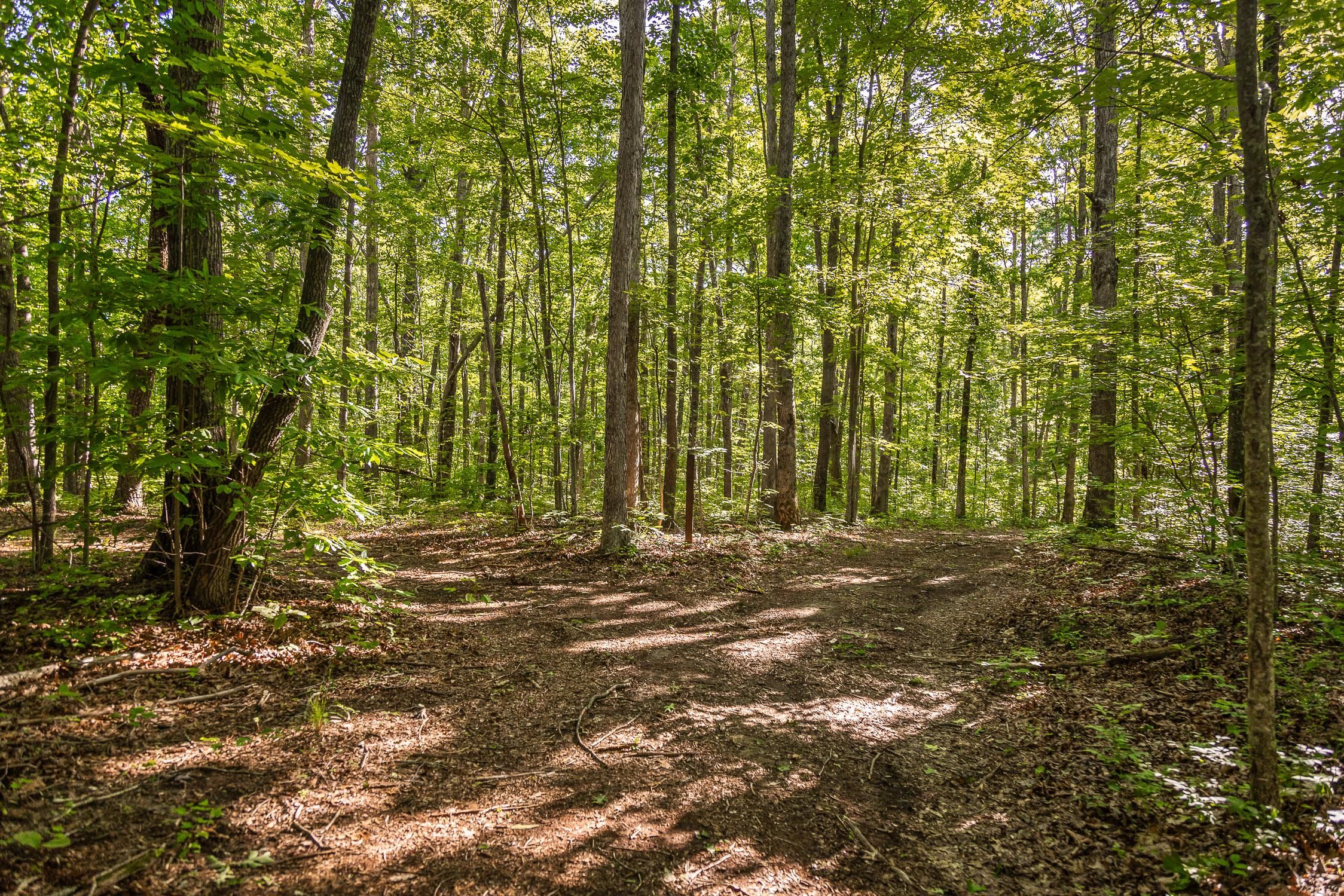 Brayton Rd, Graysville, TN 37338 MLS 1392544 LandWatch