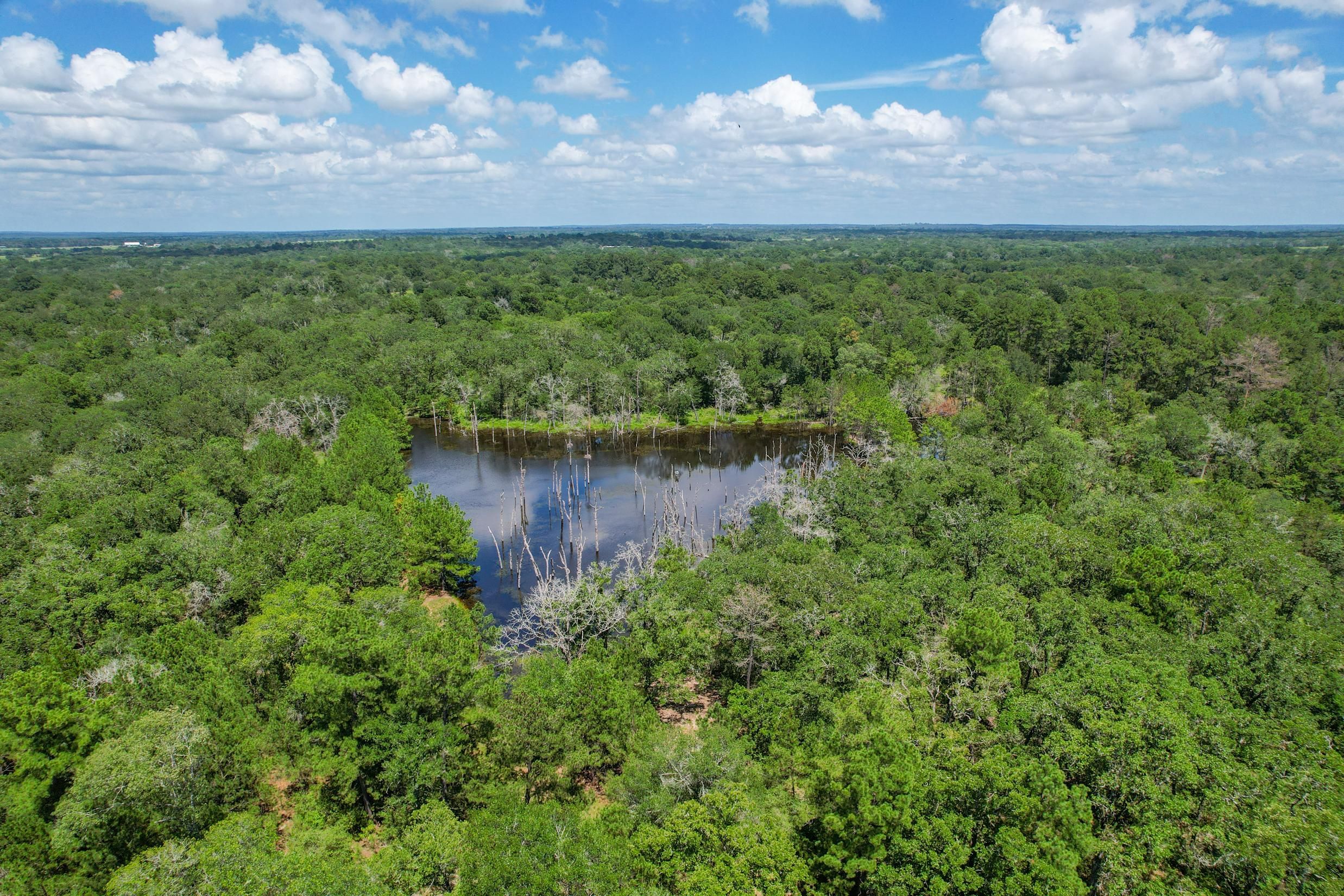 County Road 152, Bedias, TX 77831 | LandWatch