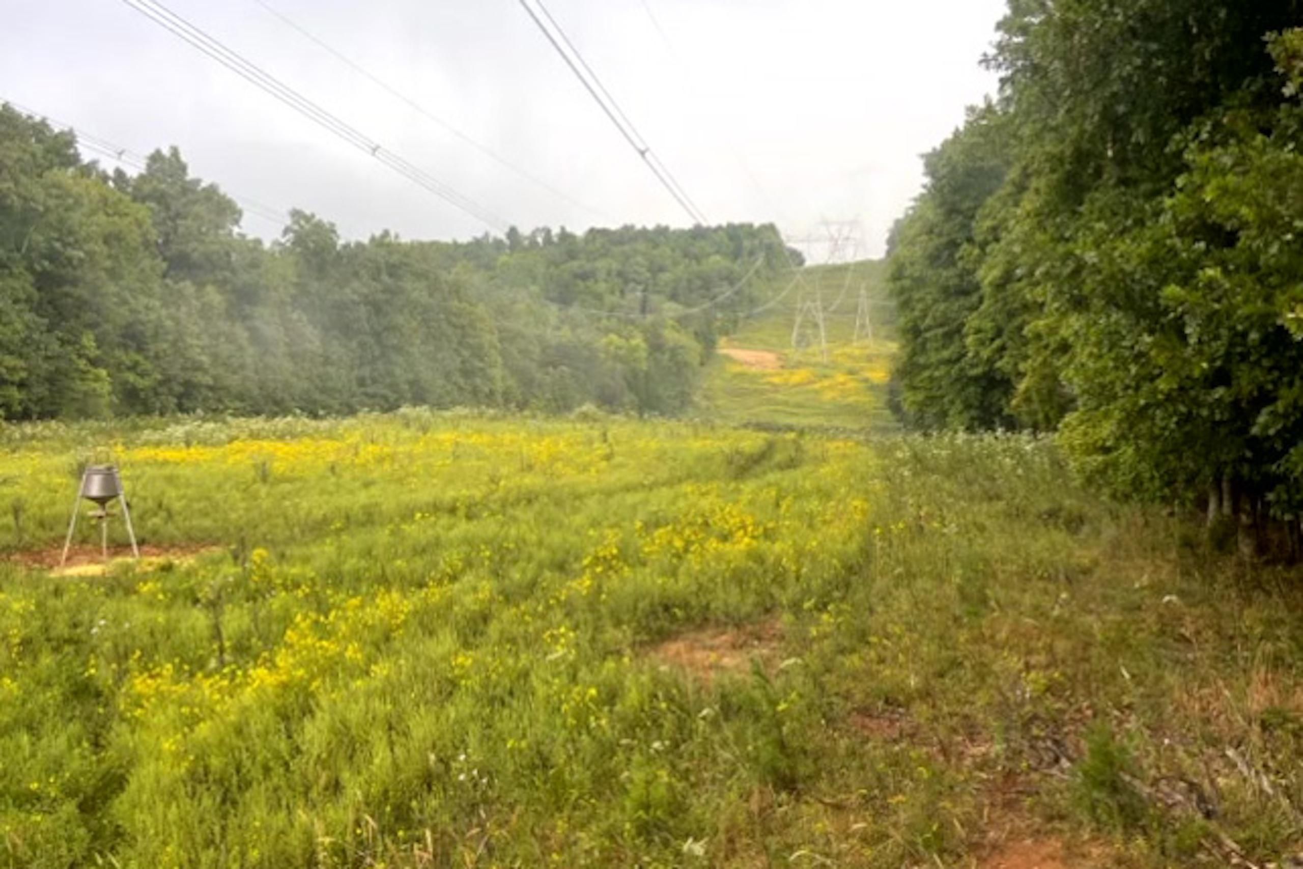 Coal Bank Road, Sharon Grove, KY 42280 LandWatch