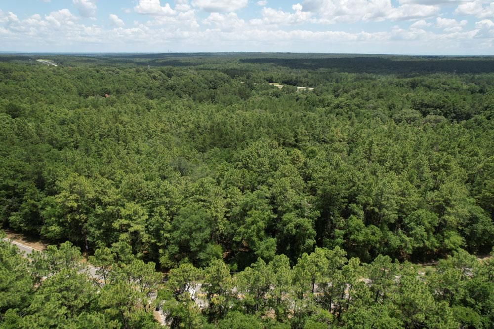 Kushla McLeod Road, Eight Mile, AL 36613 MLS 70117 LandWatch