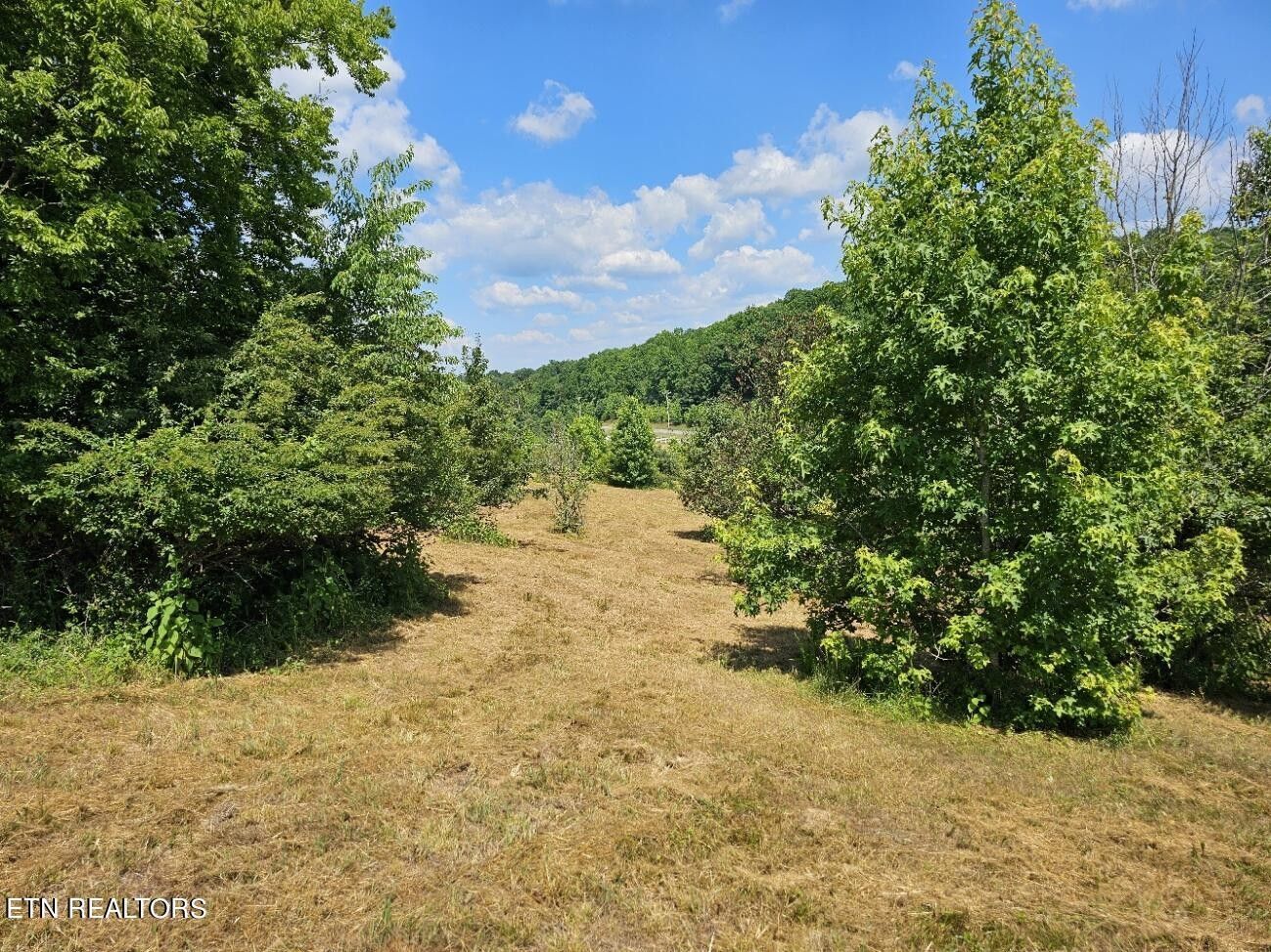 105 Roaming Fawn Drive, Rockwood, TN 37854 | MLS: 1267181 | LandWatch