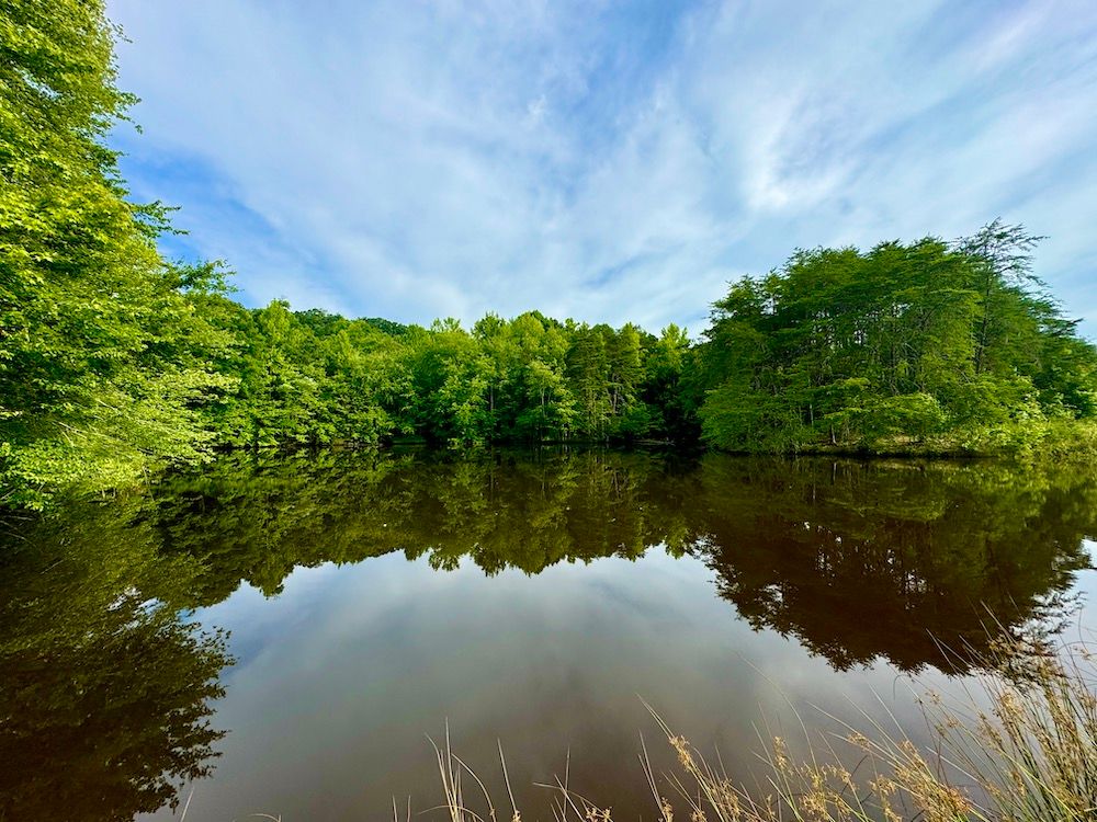 1248 Dry Fork Valley Road, Ten Mile, TN 37880 LandWatch