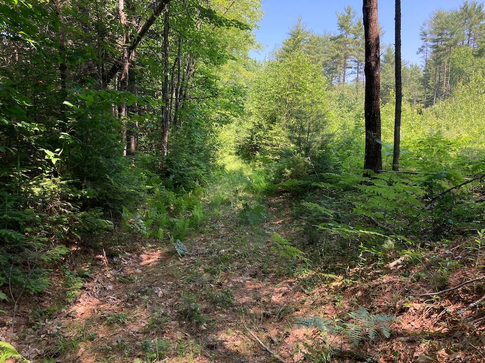 Map1Lot43 French Settlement Road, Canaan, ME 04924 MLS 1594269 LandWatch