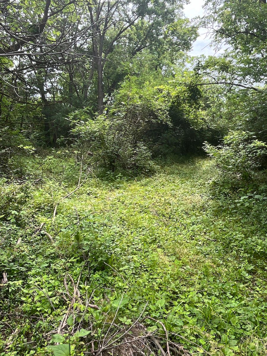 0 Beatrice Drive, LotWP001, Dayton, OH 45404 MLS 1032557 LandWatch