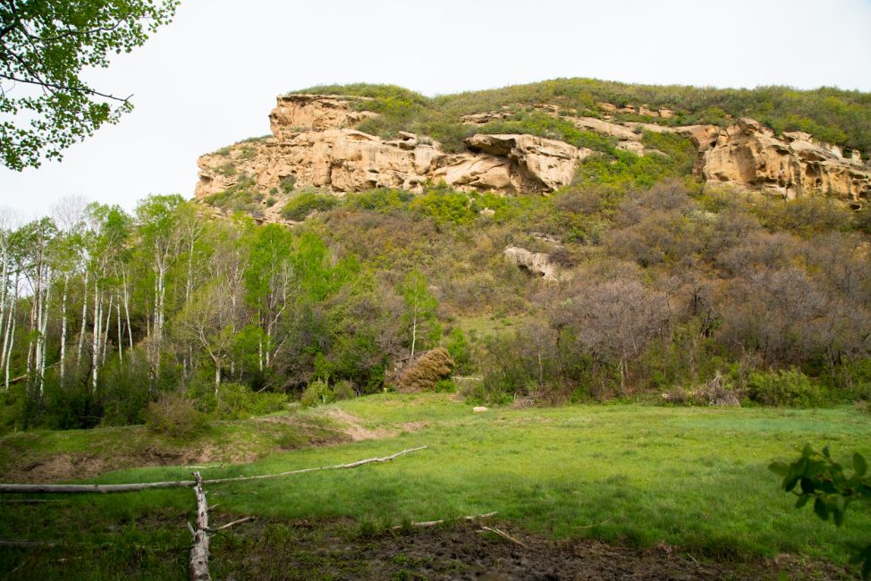 28162 Hwy. 84, Chama, NM 87520 LandWatch