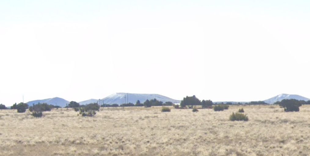Lot 691, Concho Lake Land, Concho, AZ 85924 MLS APN10732054