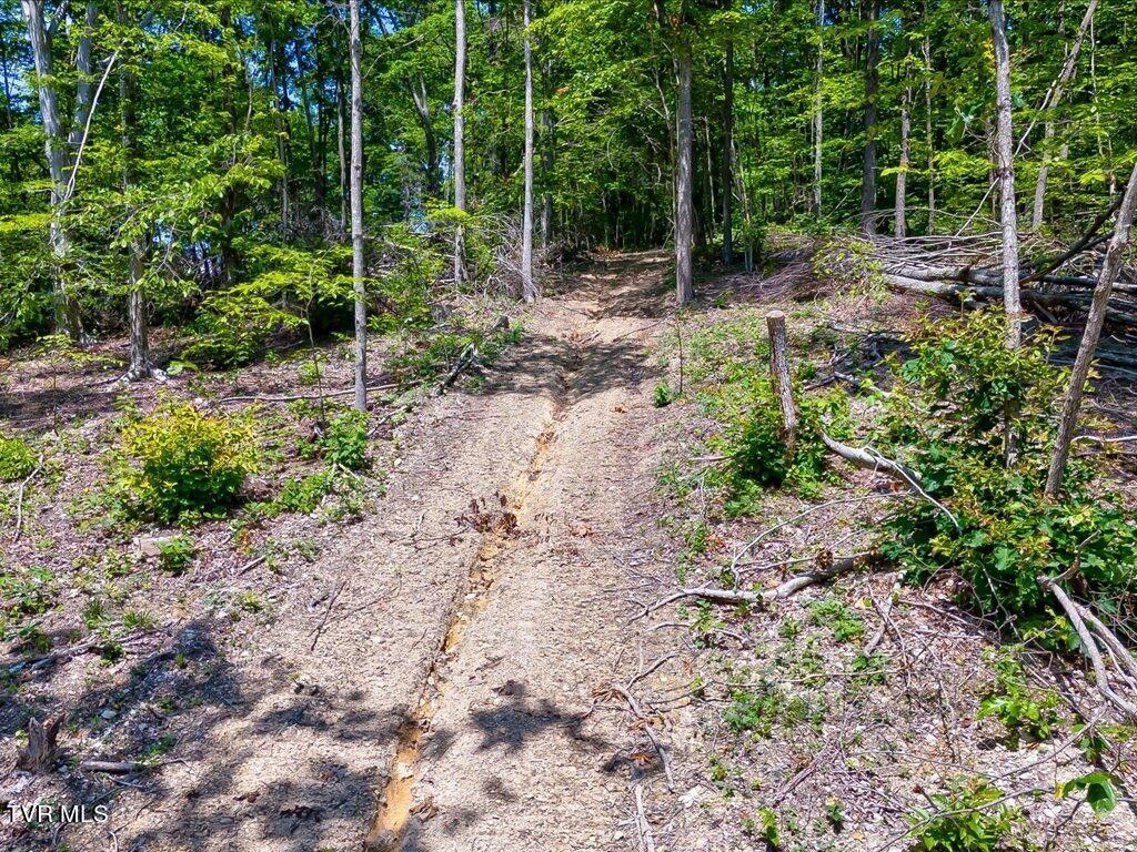 0 Merritt Road, Washburn, TN 37888 MLS 9967695 LandWatch