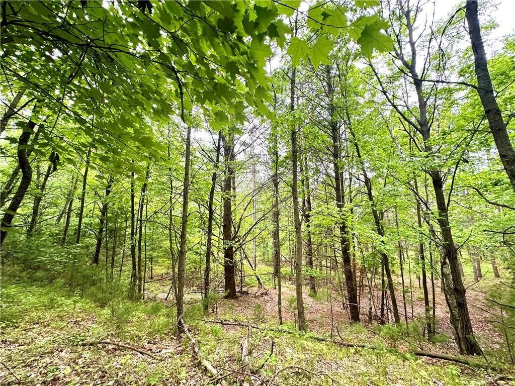 0(10 Acres) County Highway B, Humbird, WI 54746 MLS 1583328 LandWatch