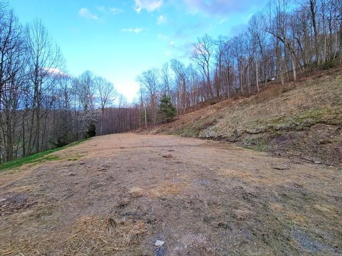 99 HAPPY LN, Fairview, WV 26570 MLS 10155057 LandWatch