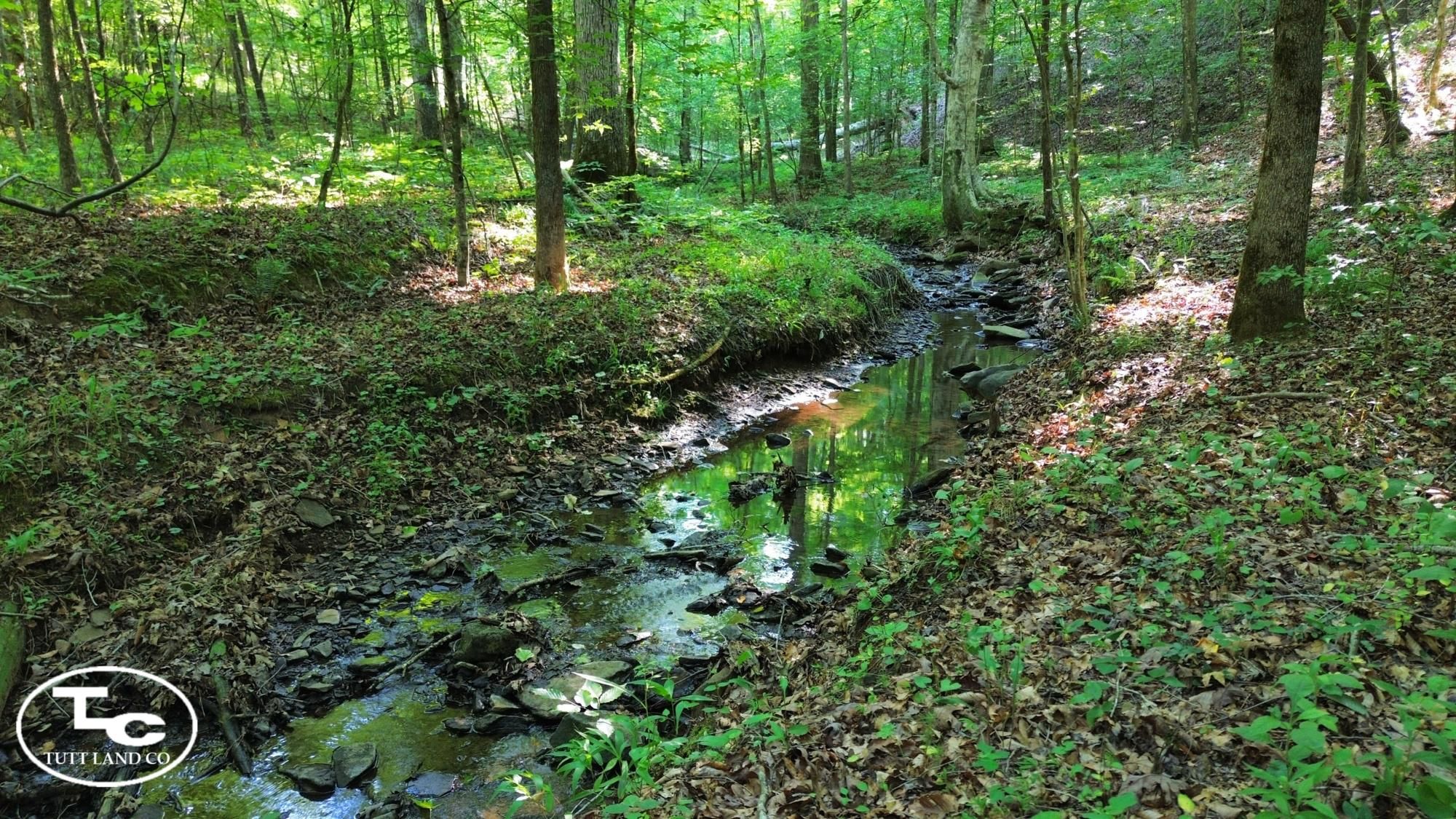 41 acres in Adger, AL, 35006 LandWatch