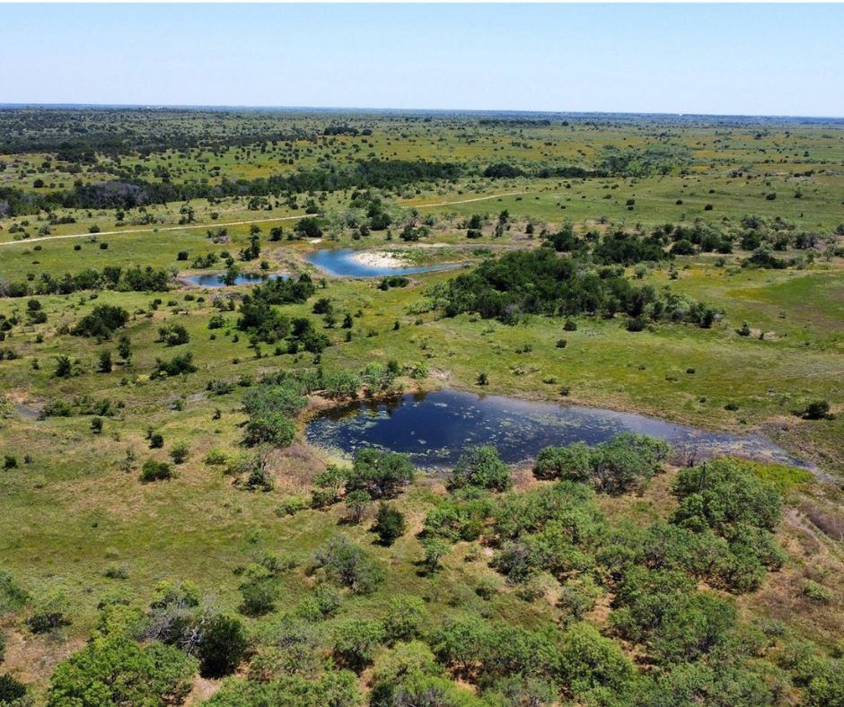 4801 Farm to Market Road 1702, Gustine, TX 76455 MLS 20648376