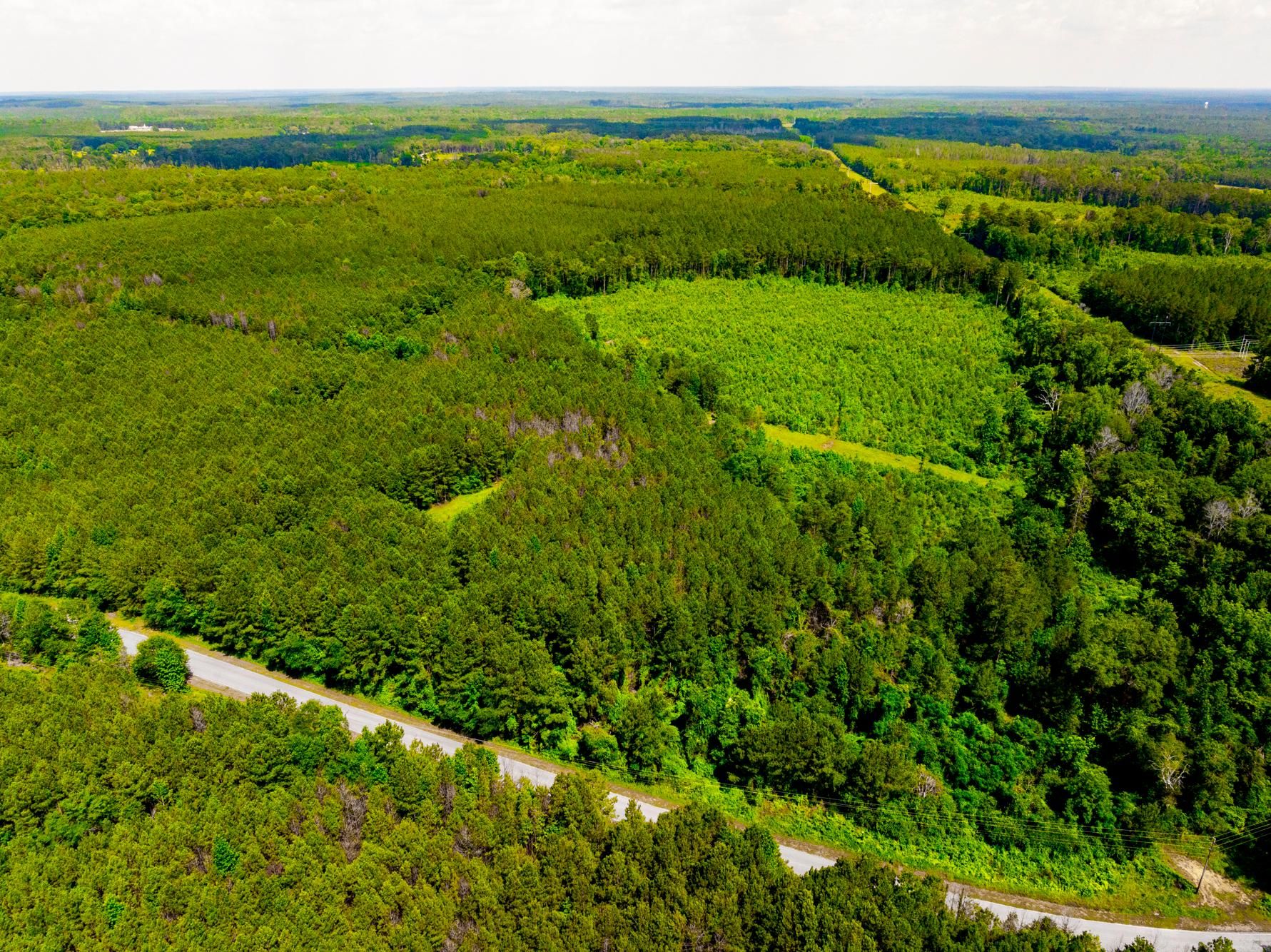 Lot 0 Hathorn Rd, Oak Vale, MS 39656 MLS 4083939 LandWatch