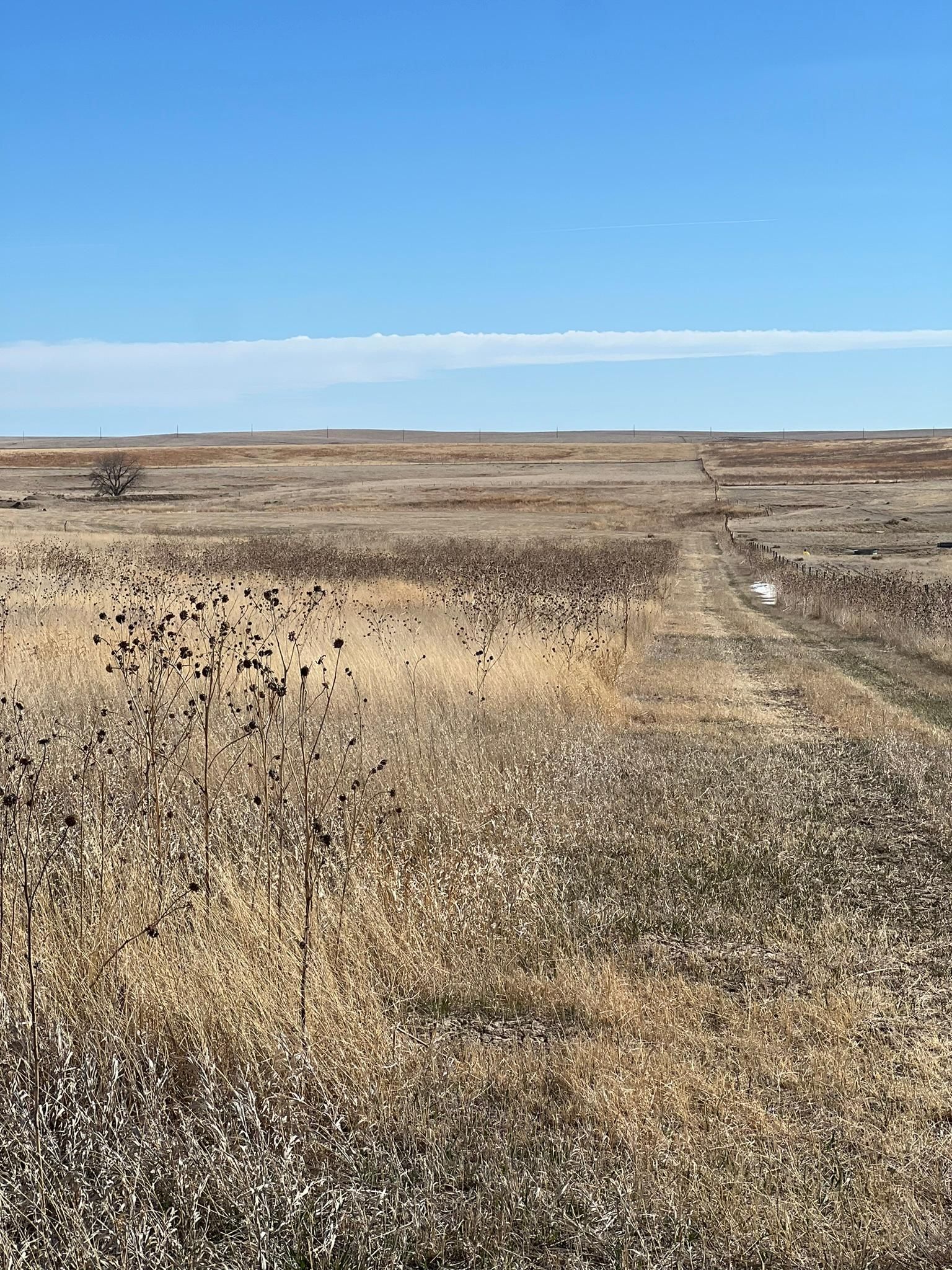 160 acres in Sharon Springs, KS, 67758 LandWatch