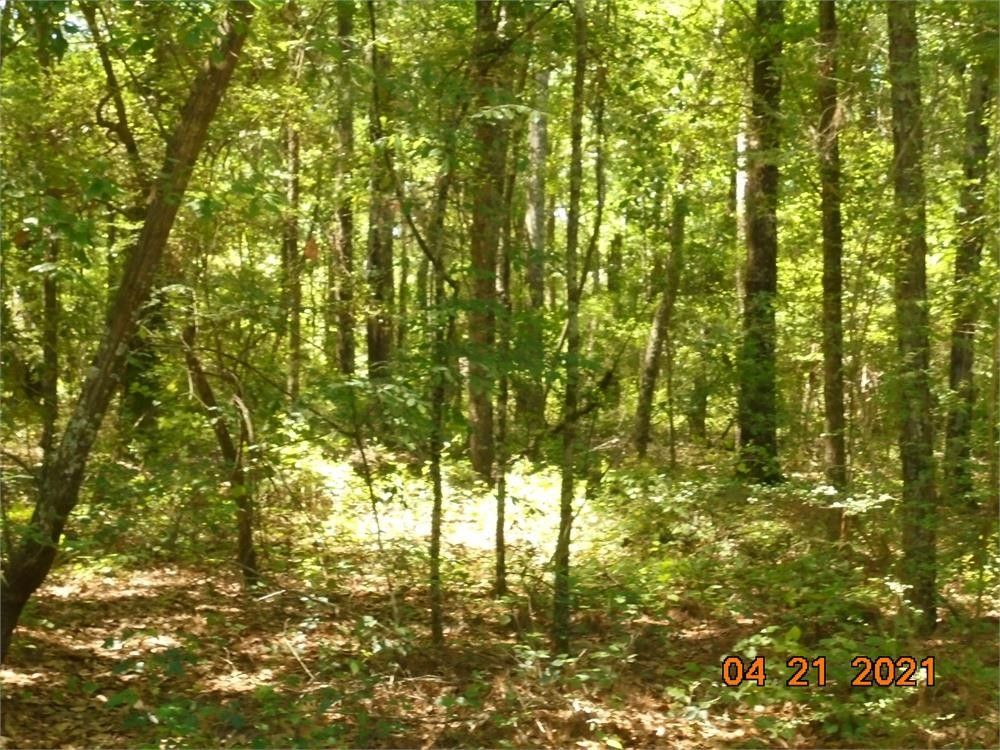 Lot 25 Riverwind Trail, Meigs, GA 31765 MLS 923356 LandWatch