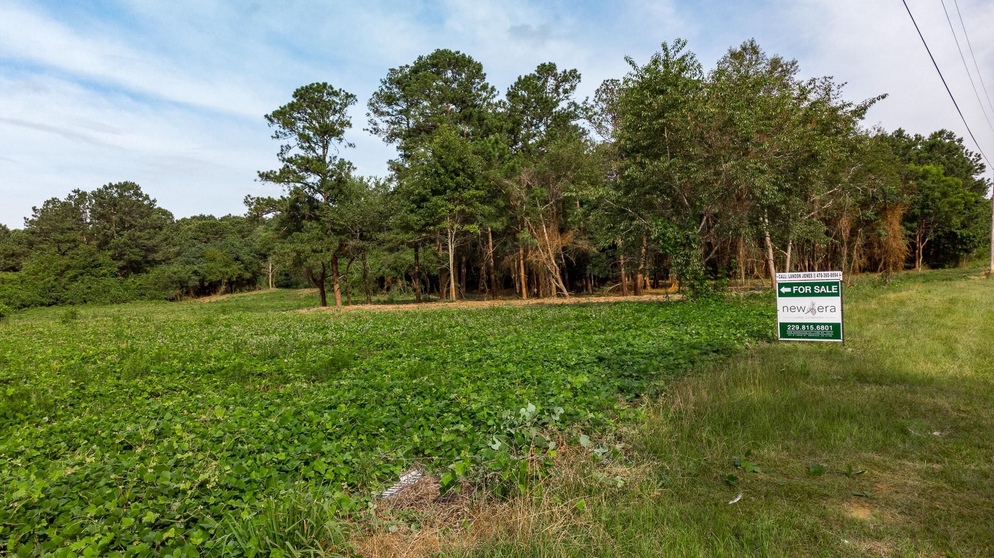 Westwood Drive, Ellaville, GA 31806 LandWatch