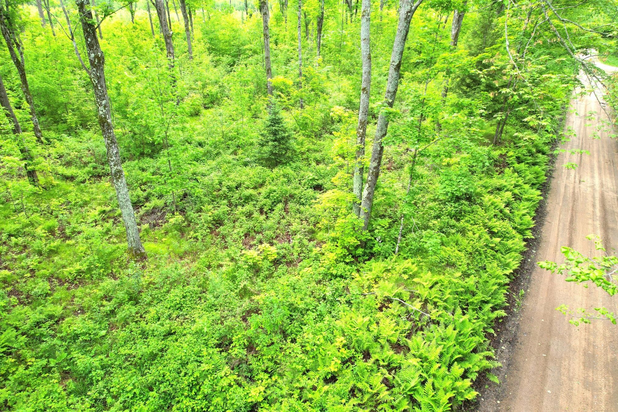 On BRADLEY LAKE RD, Crandon, WI 54520 MLS 205601 LandWatch