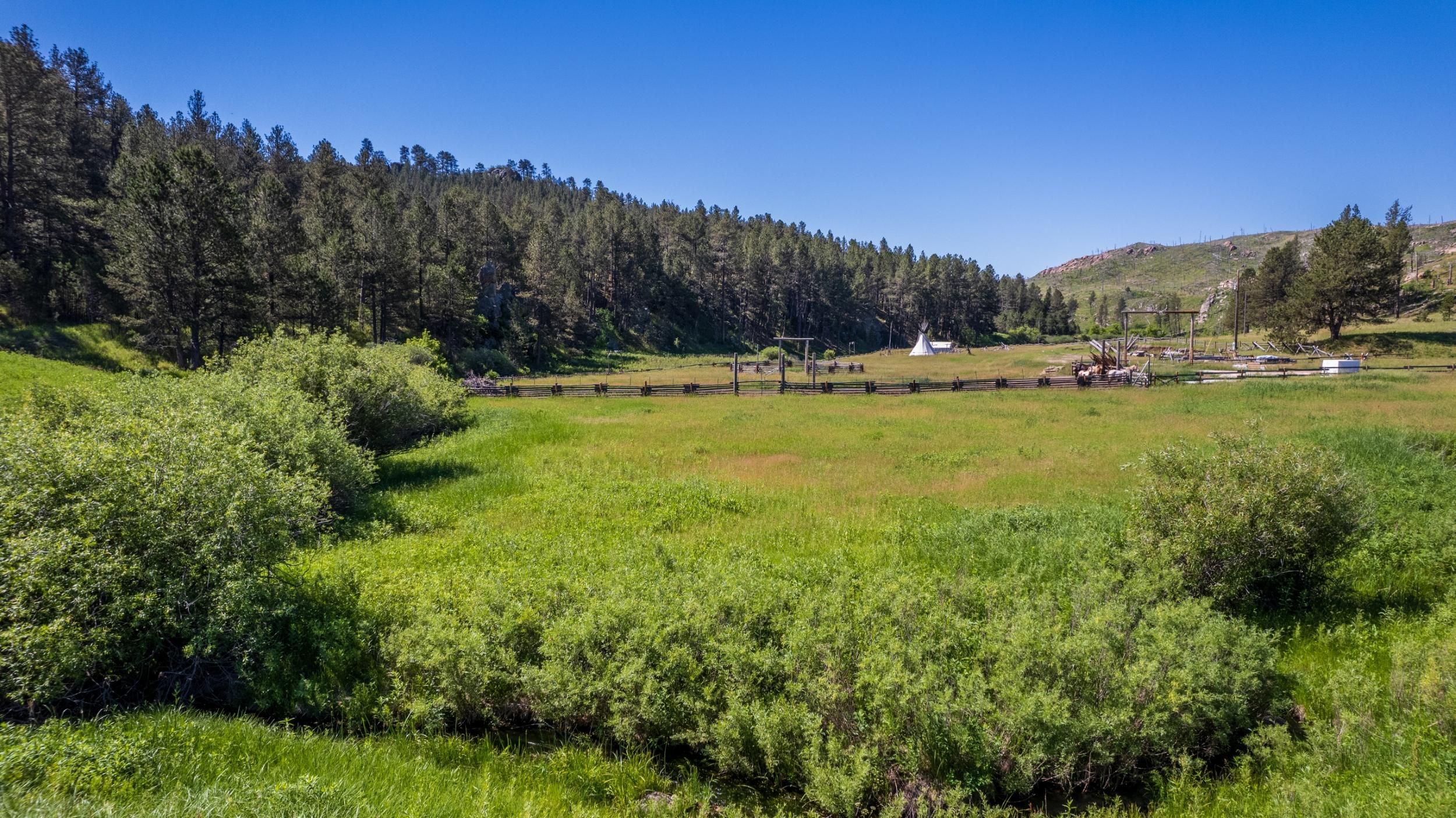 26170 Rifle Pit Rd, Custer, SD 57730 MLS 79448 LandWatch