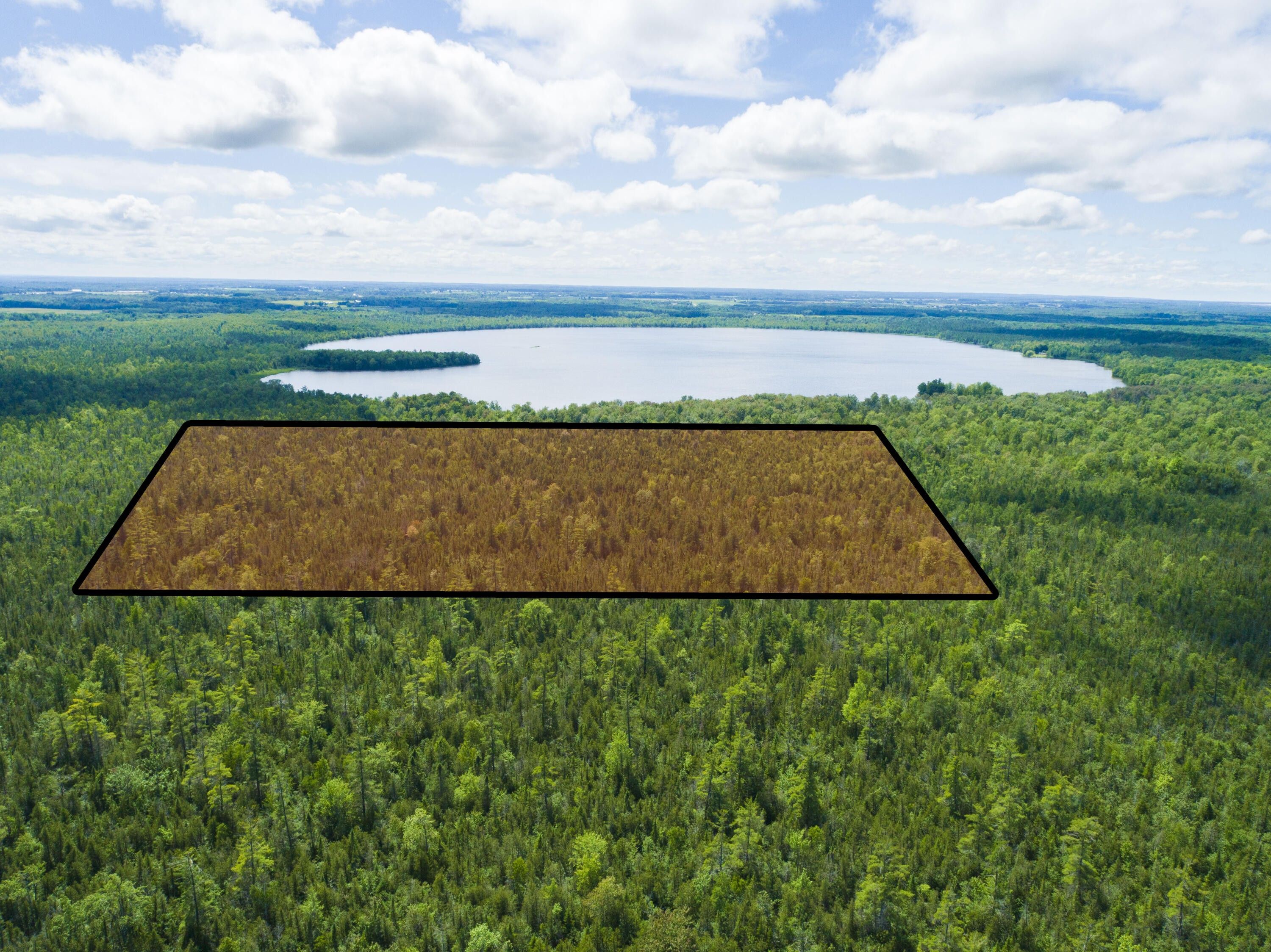 80 acres Near Loop Rd, Posen, MI 49776 MLS 201830308 LandWatch